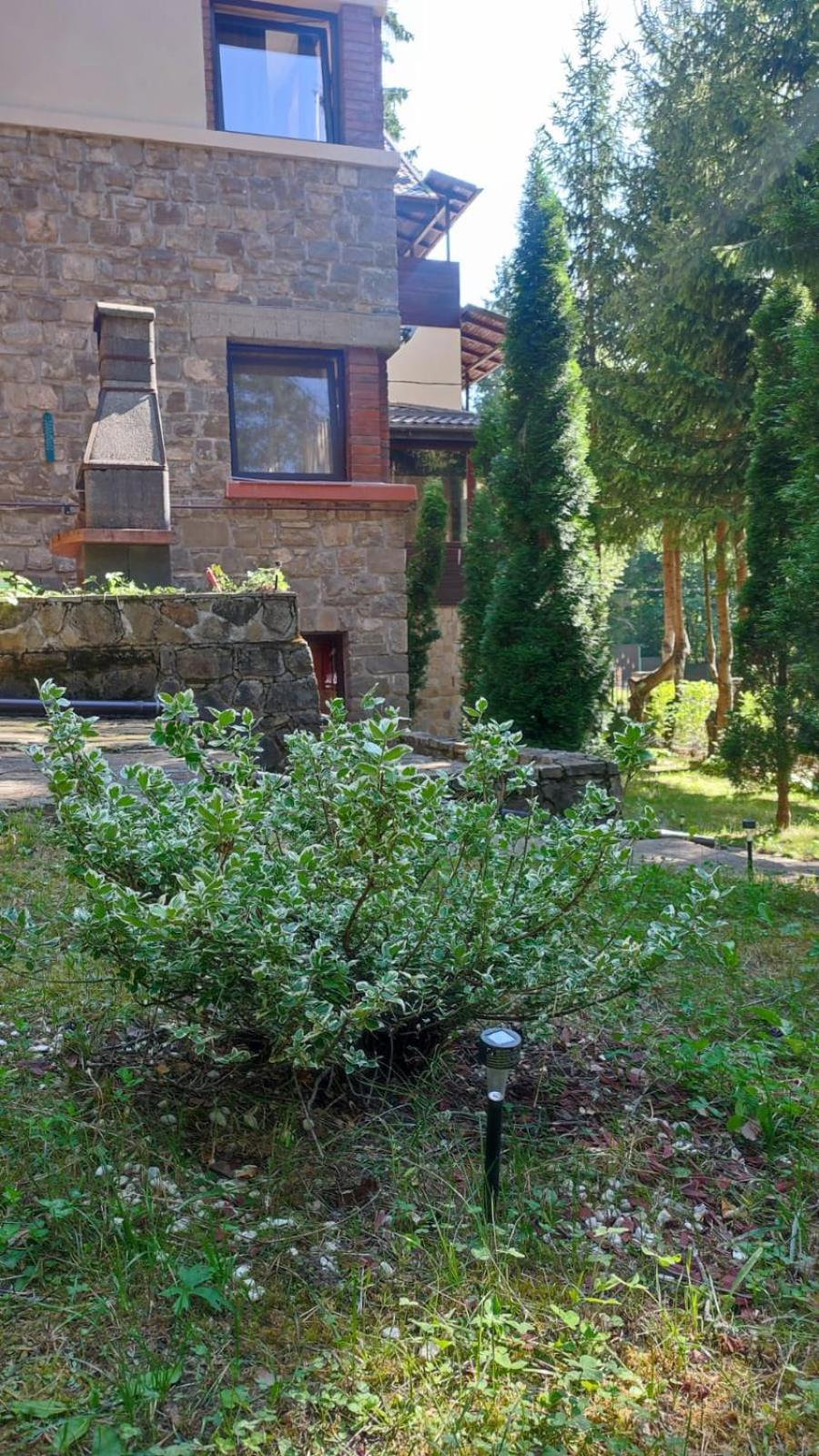 Photo 43