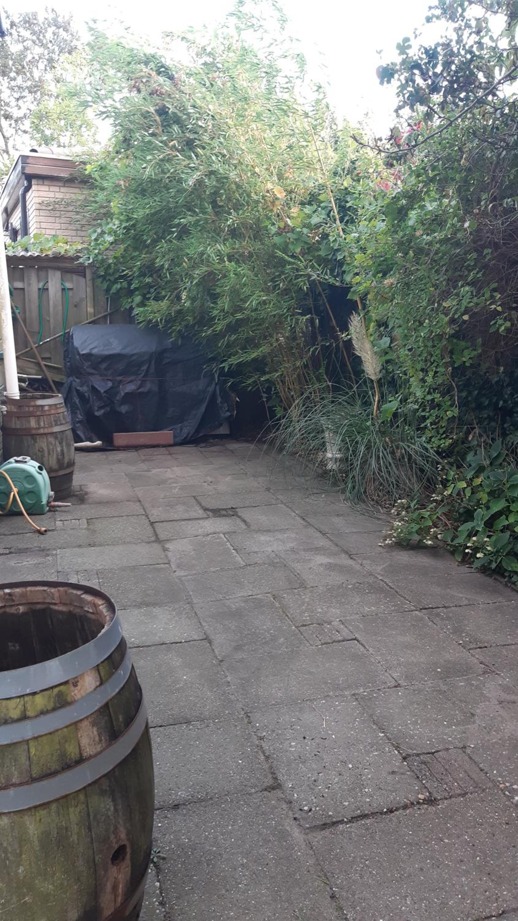 Photo 18