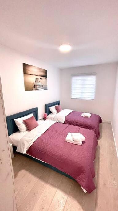 Apartman DolceRosa view 3