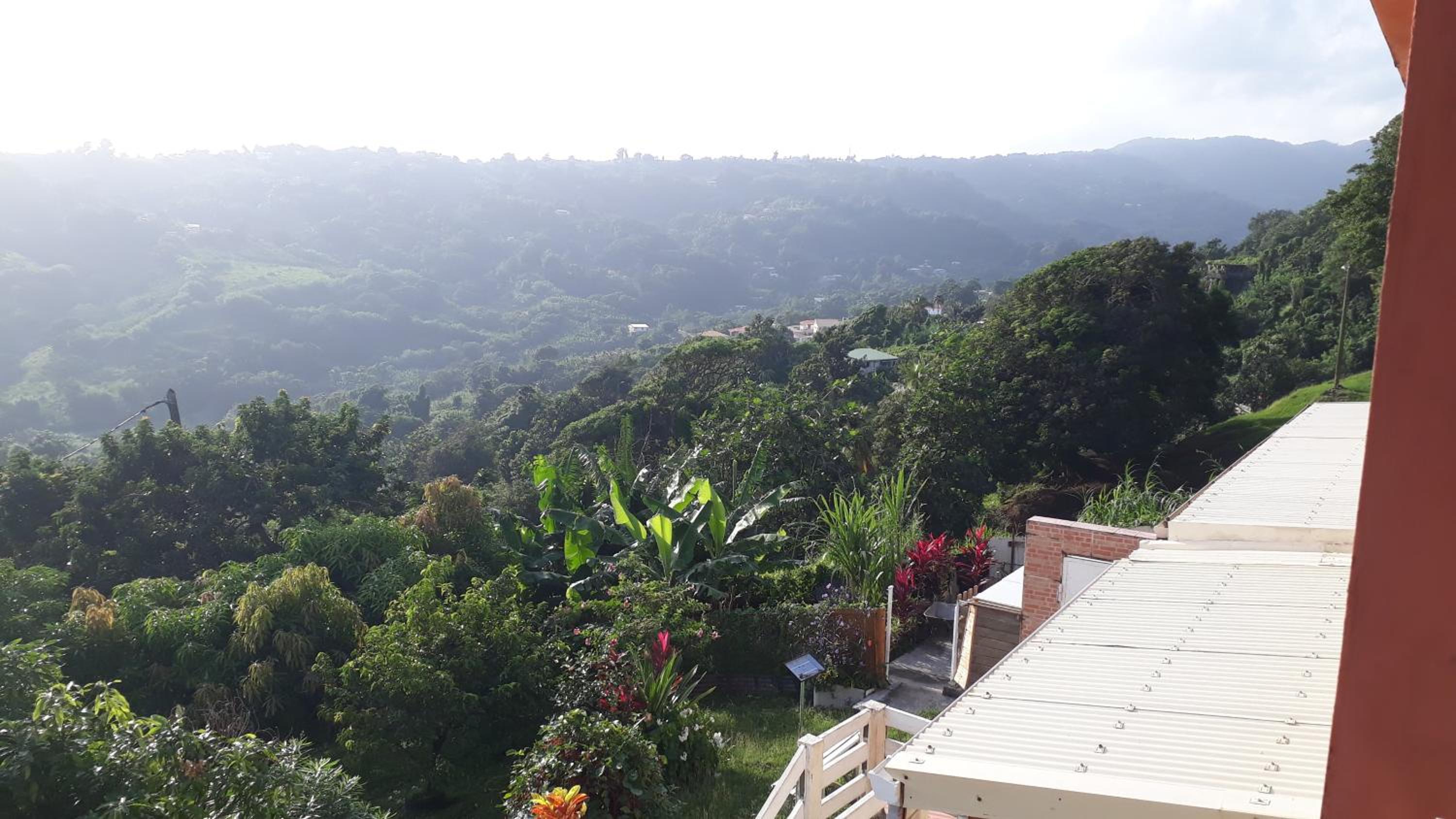 BIENVENUE AU SOLEIL LEVANT assier entrée morne savon ,le lorrain