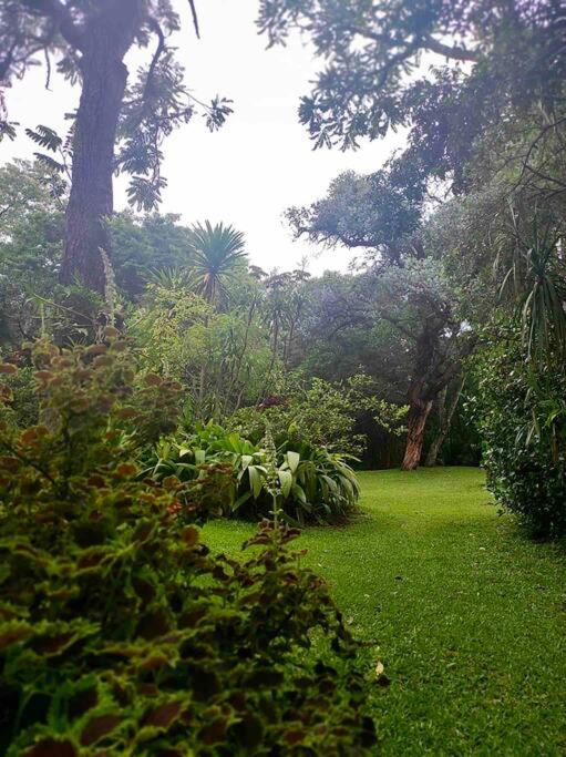 Reserva Atibaia / Casa de Montanha