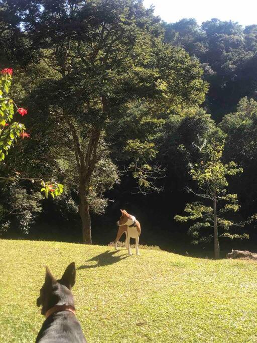 Reserva Atibaia / Casa de Montanha