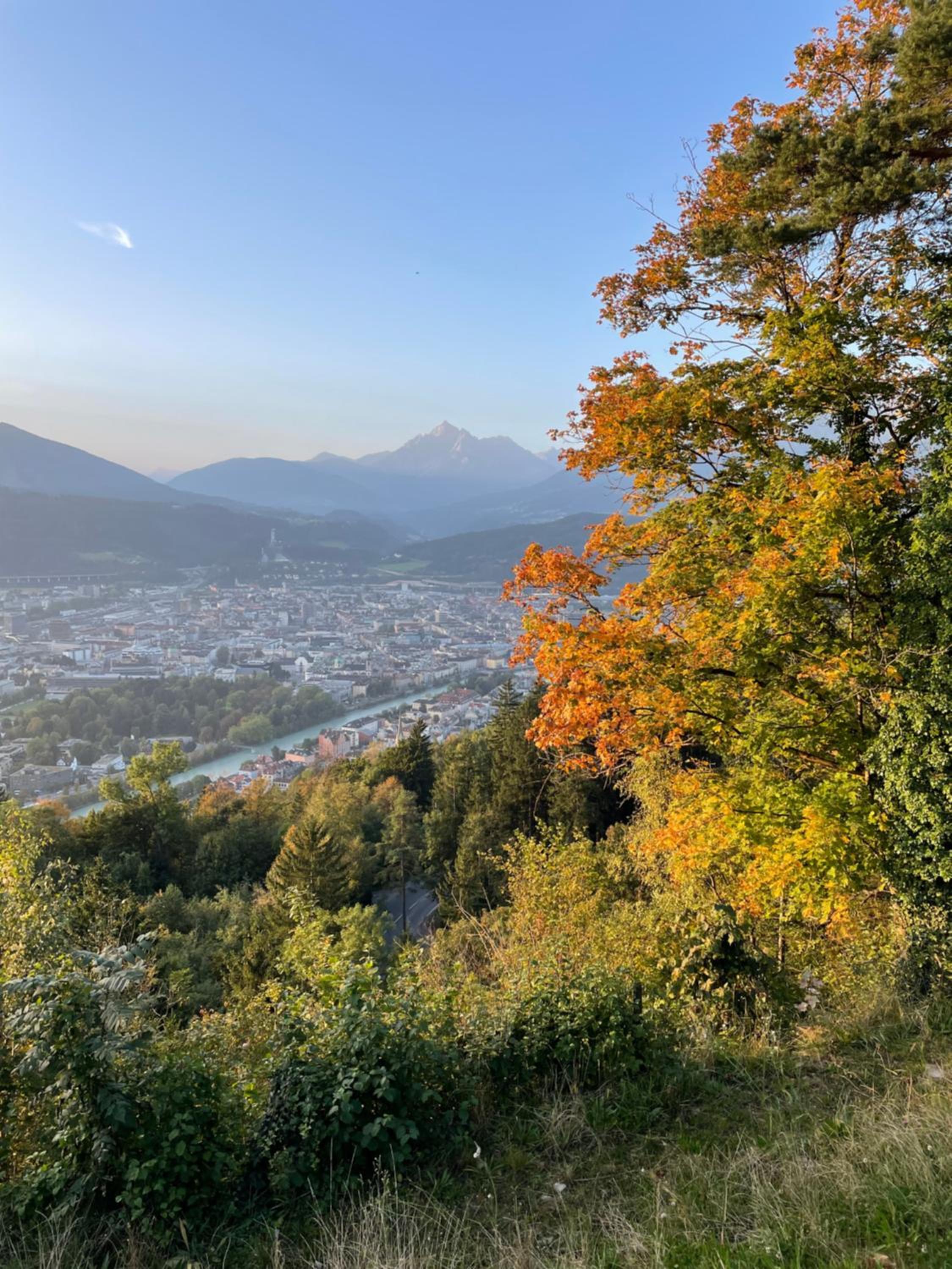 Blickfang Tirol