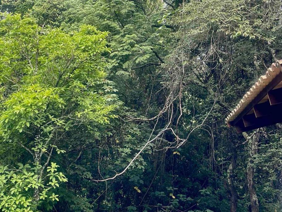 Reserva Atibaia / Casa de Montanha