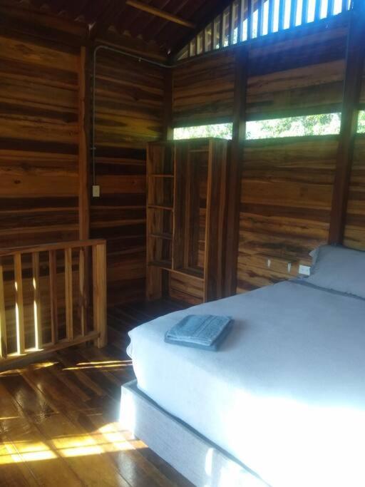 Bosque Azul - Carpintero