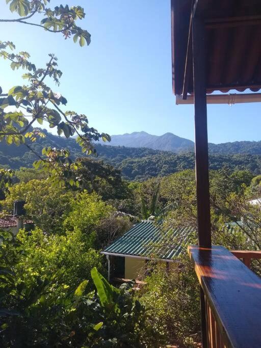 Bosque Azul - Carpintero