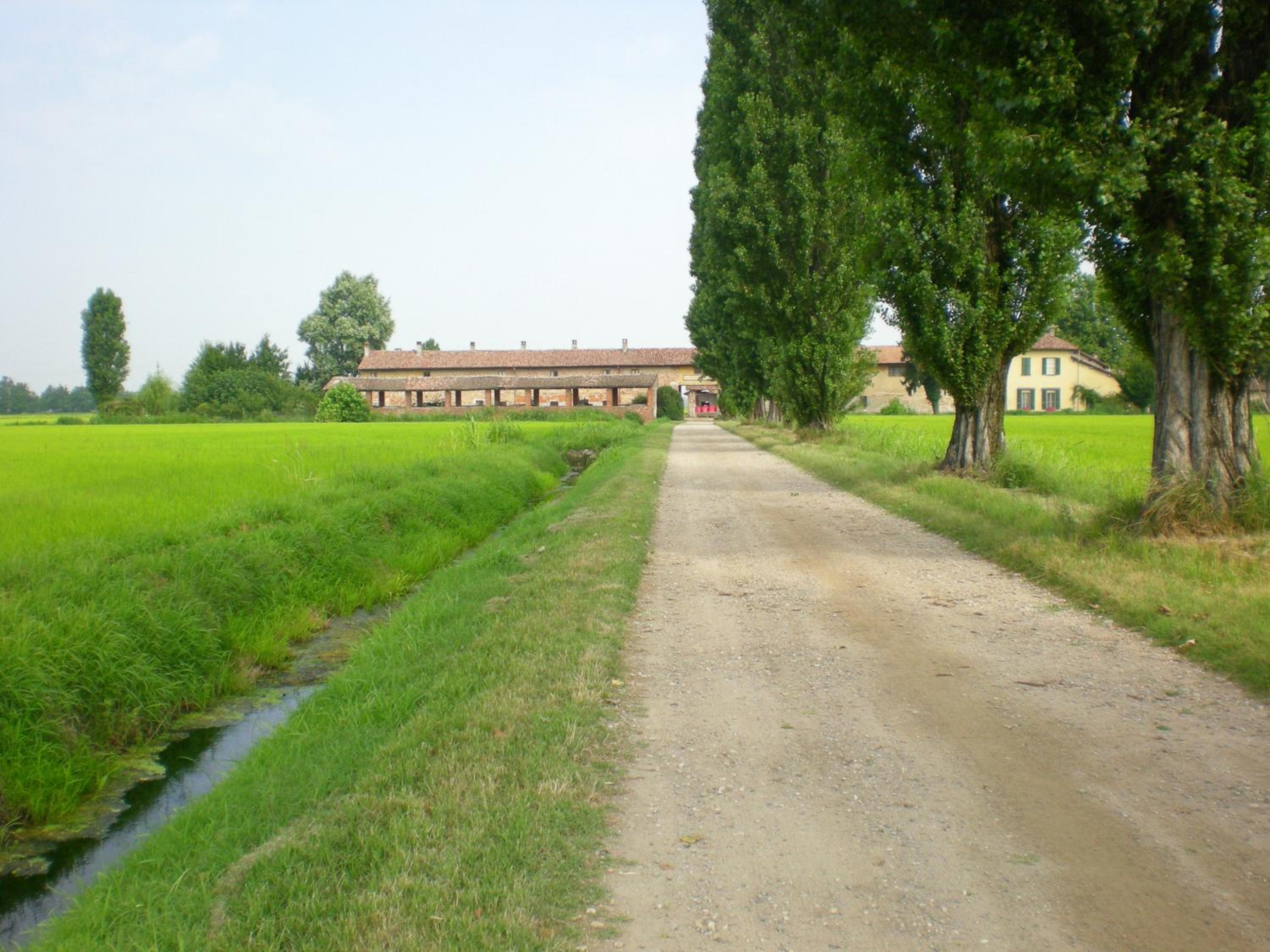 Photo 45