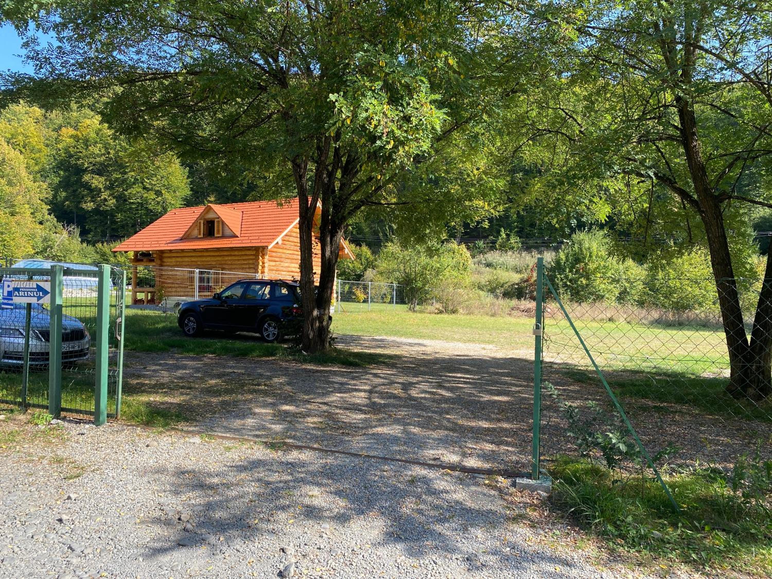 Photo 21