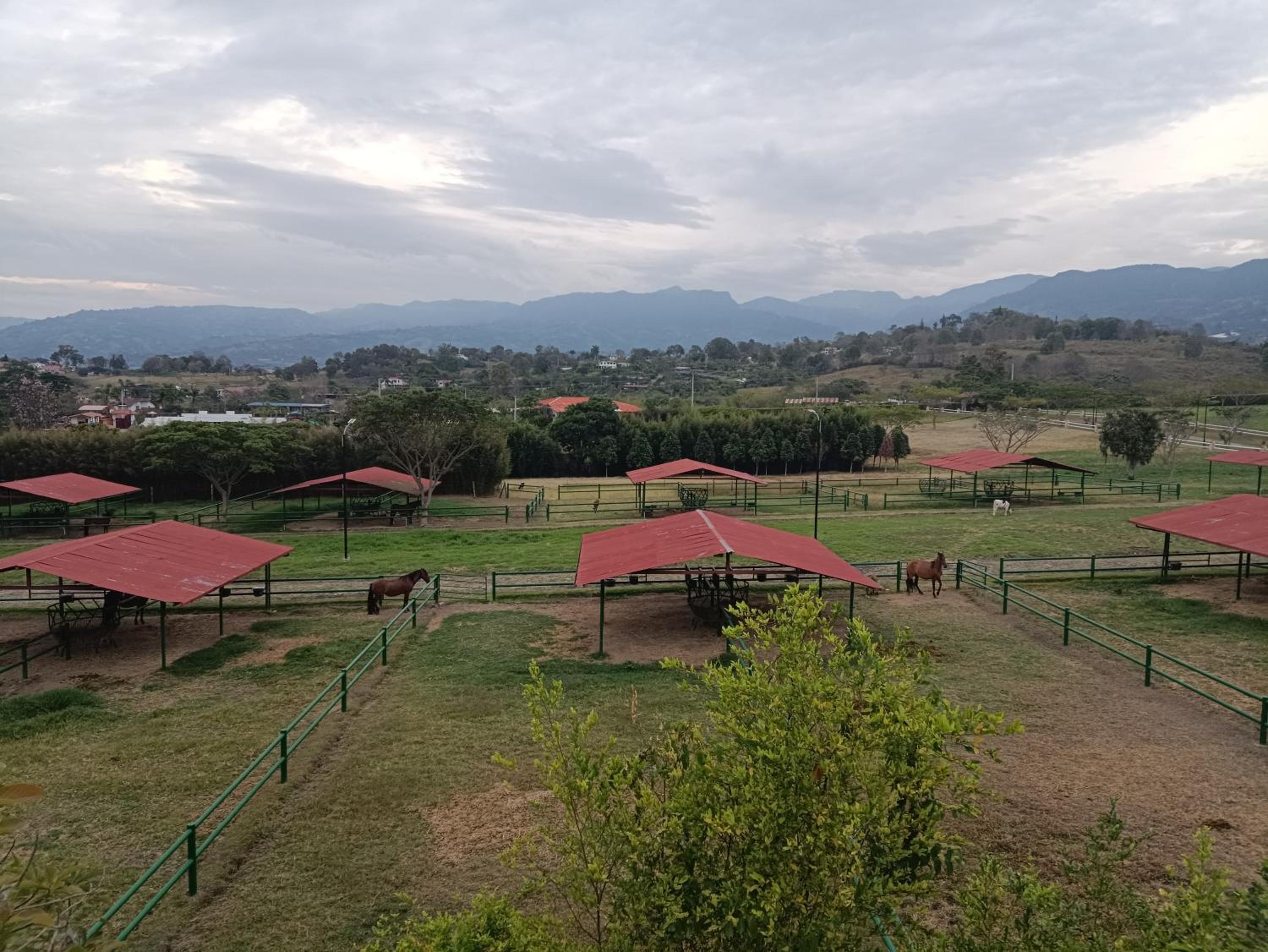 Apartamento Campestre
