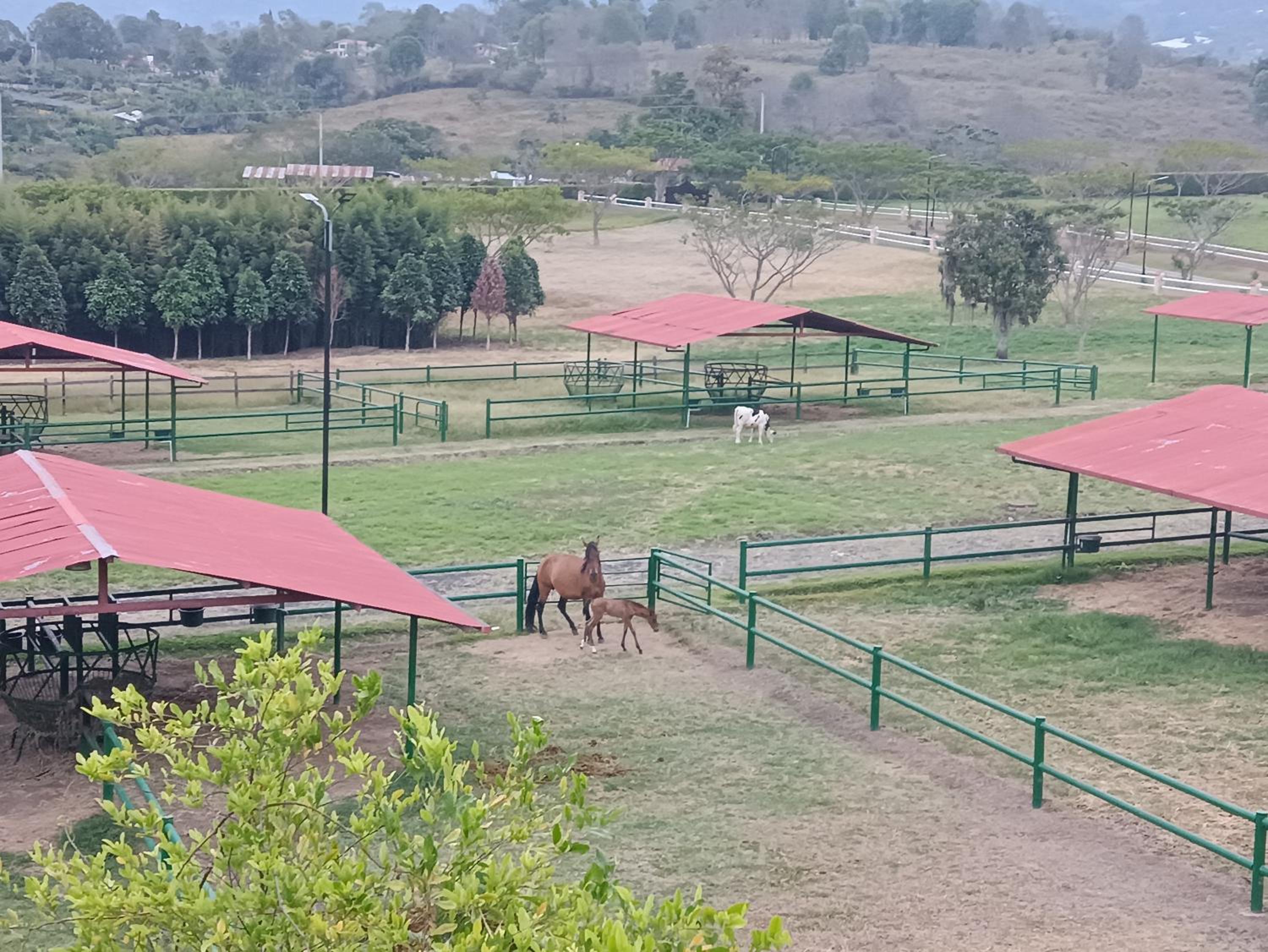 Apartamento Campestre