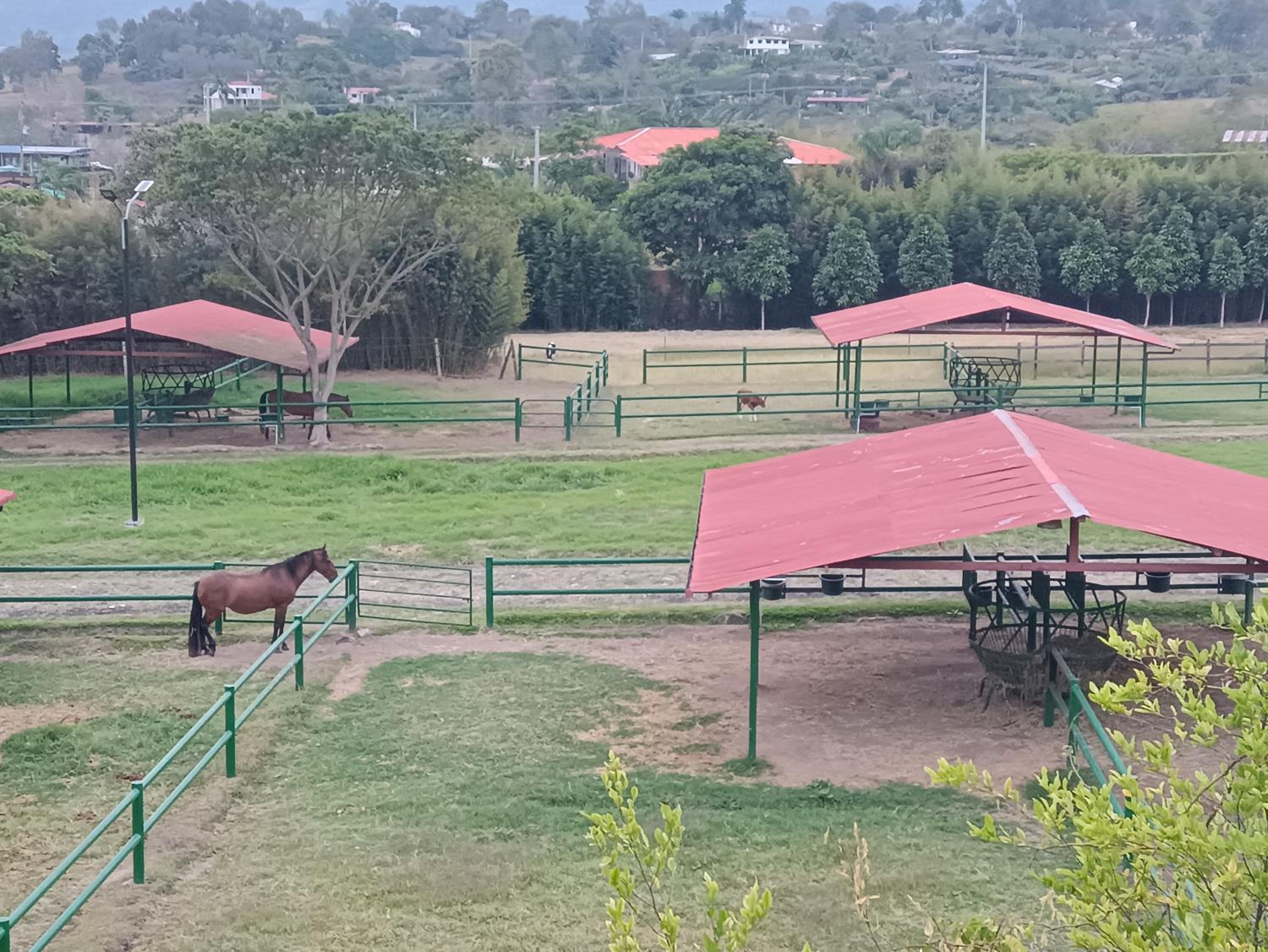 Apartamento Campestre