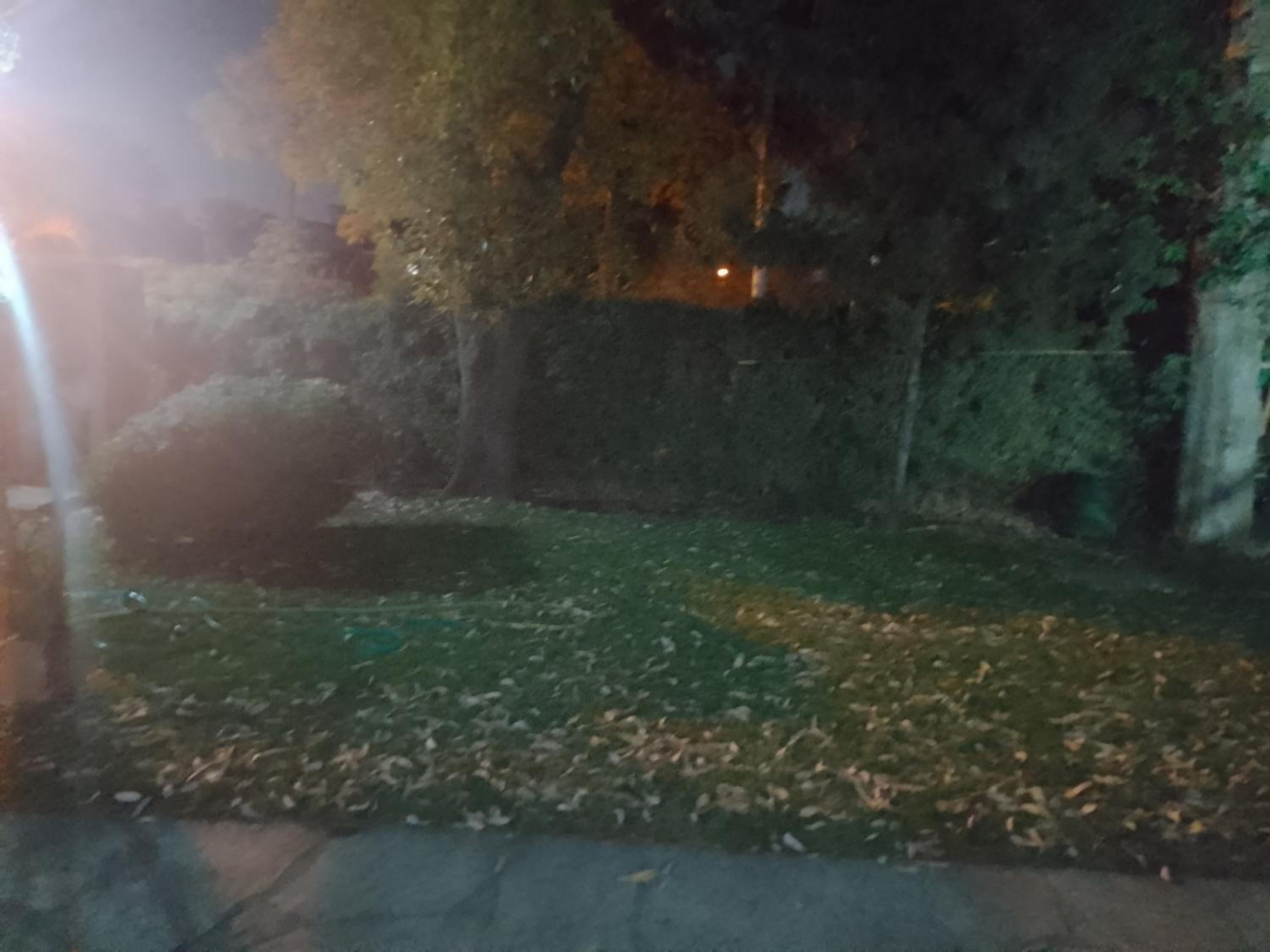 Allá en el sur