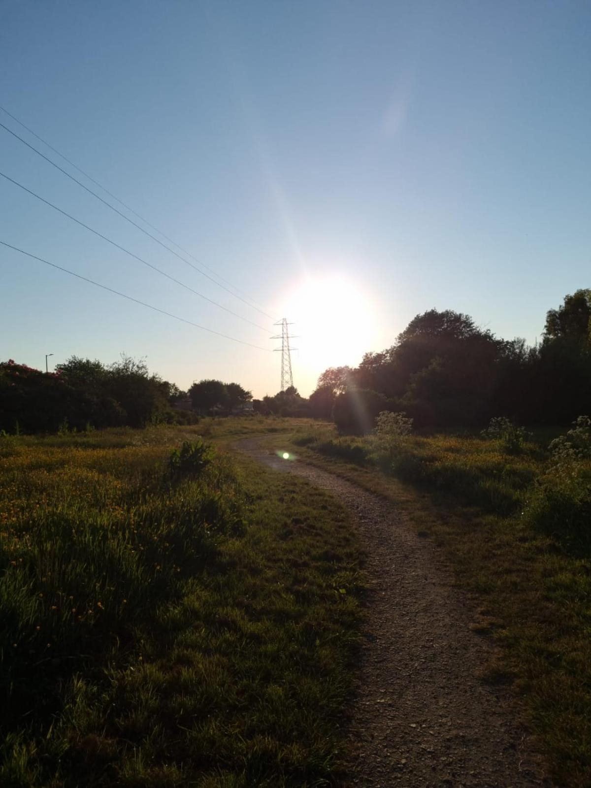 Photo 20