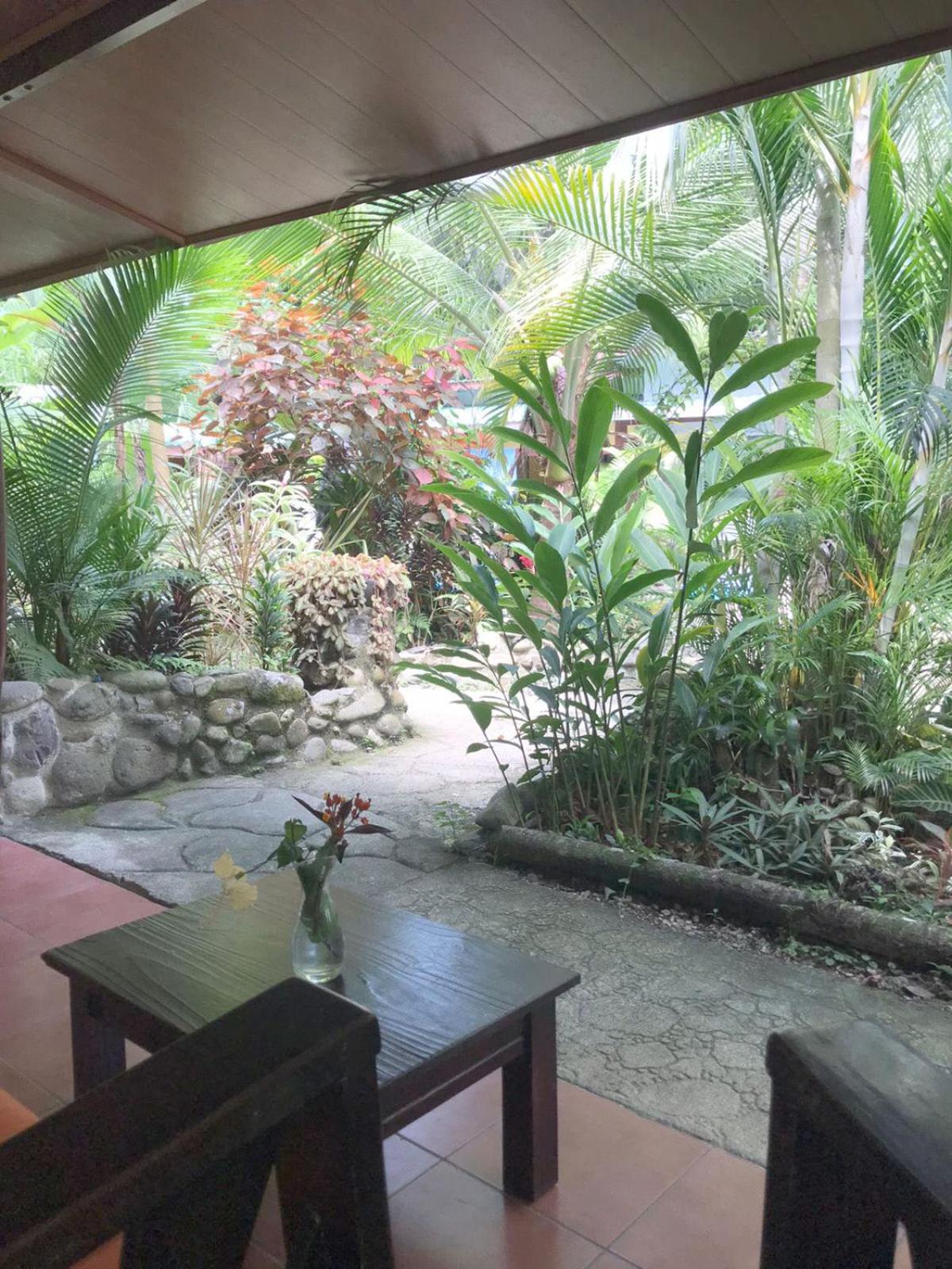 Casa Caribbean Coconut
