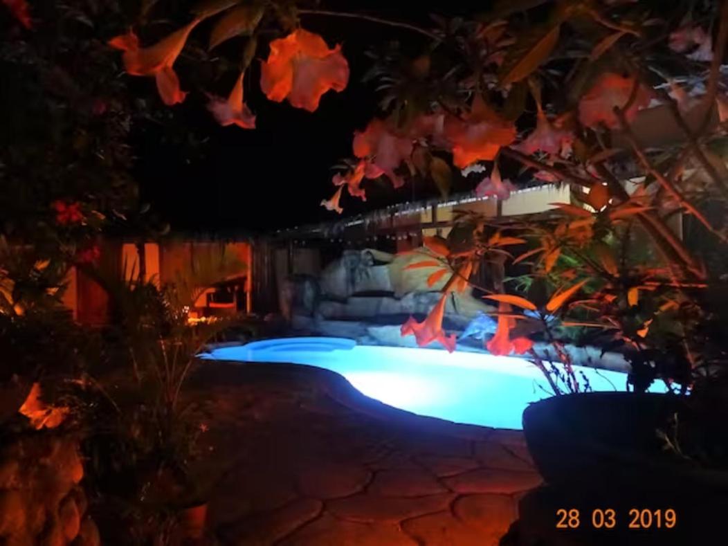 Casa Caribbean Coconut