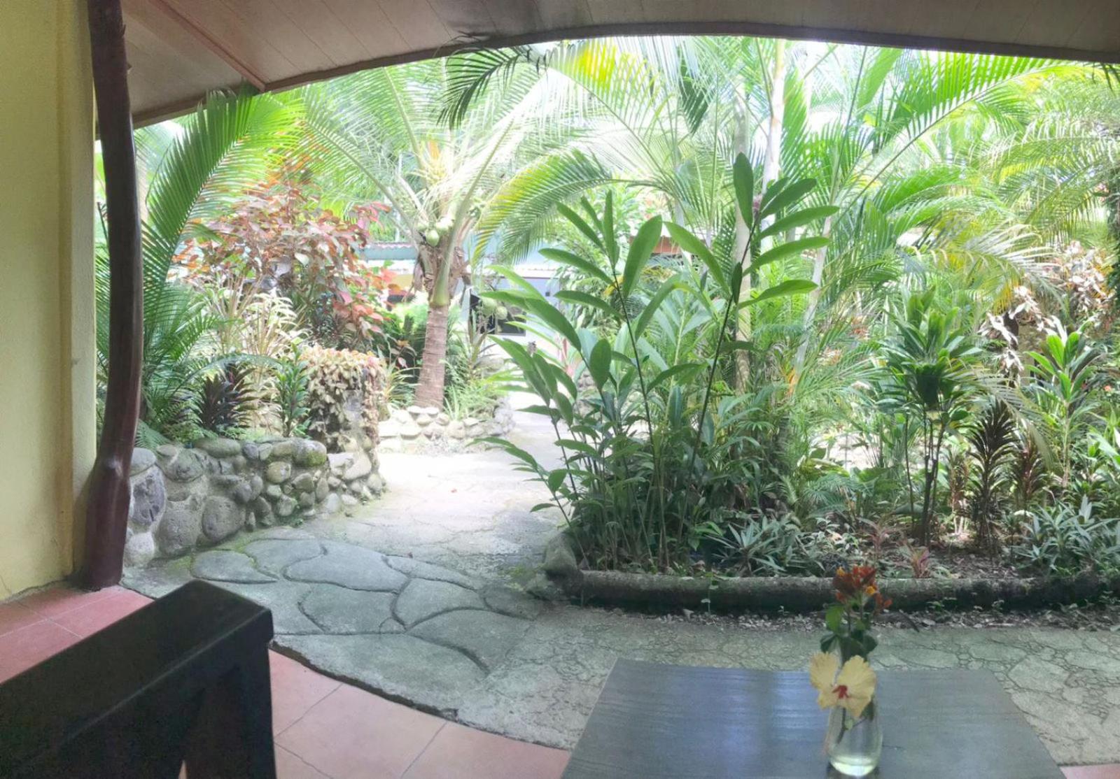 Casa Caribbean Coconut