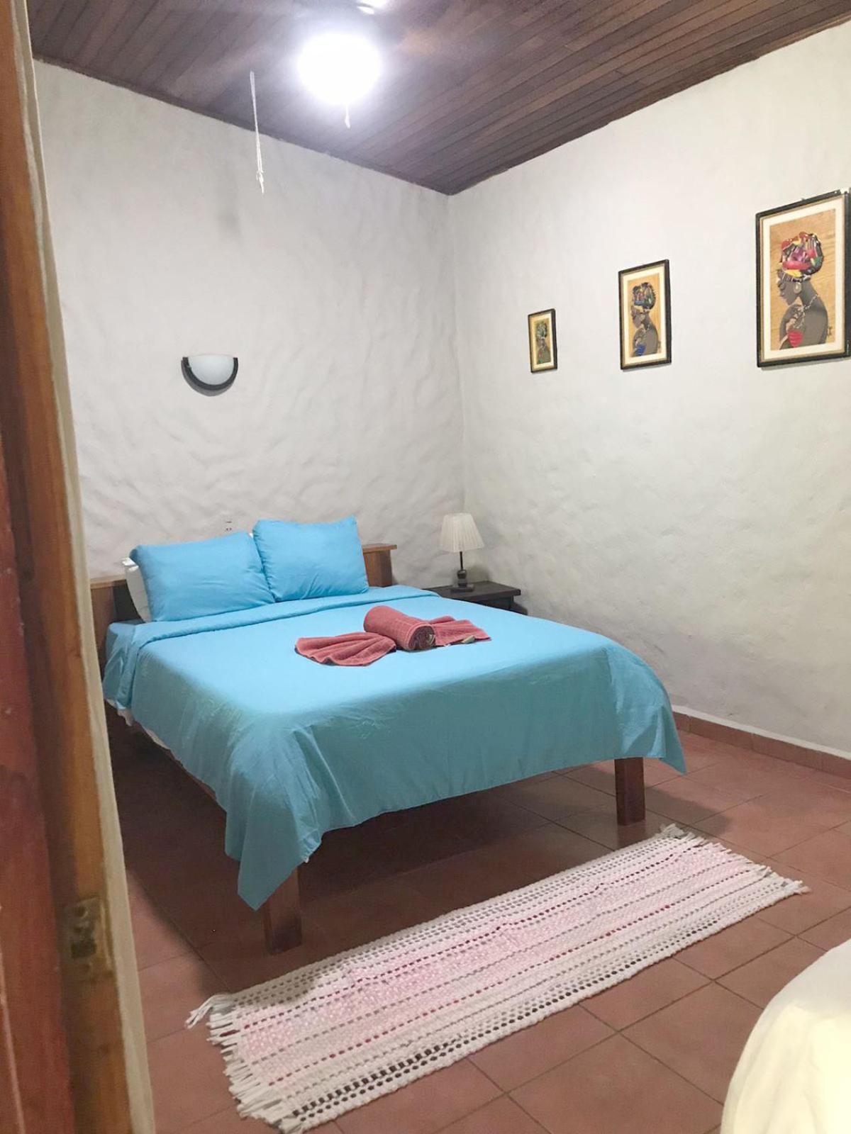 Casa Caribbean Coconut