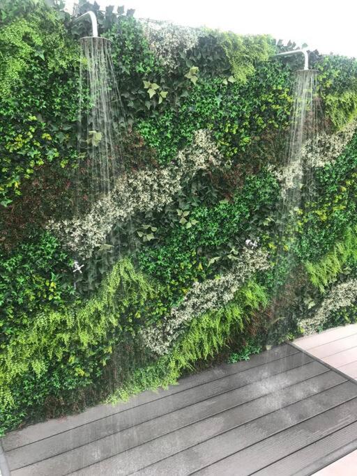 Calido mono ambiente con lujosos amenities