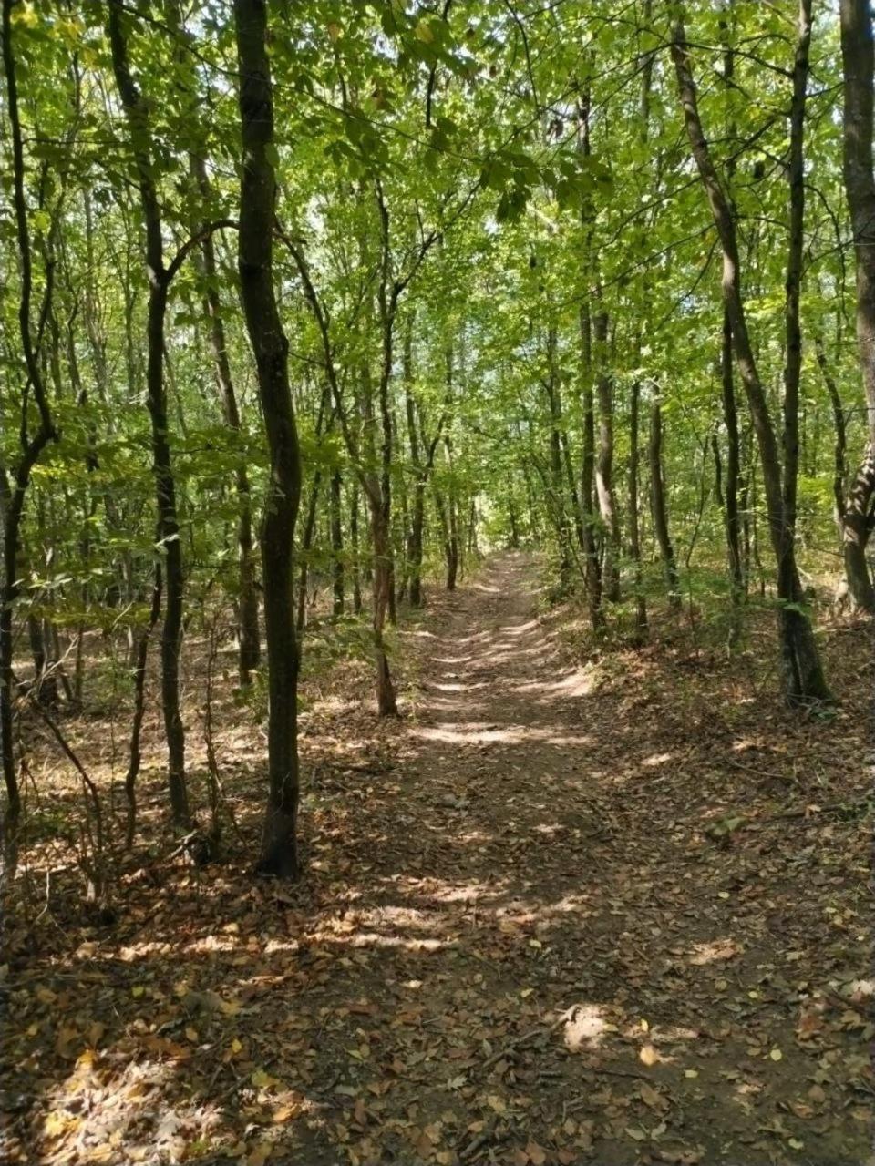 Vikendica Sibnica