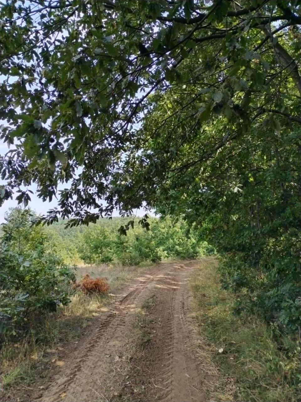 Vikendica Sibnica