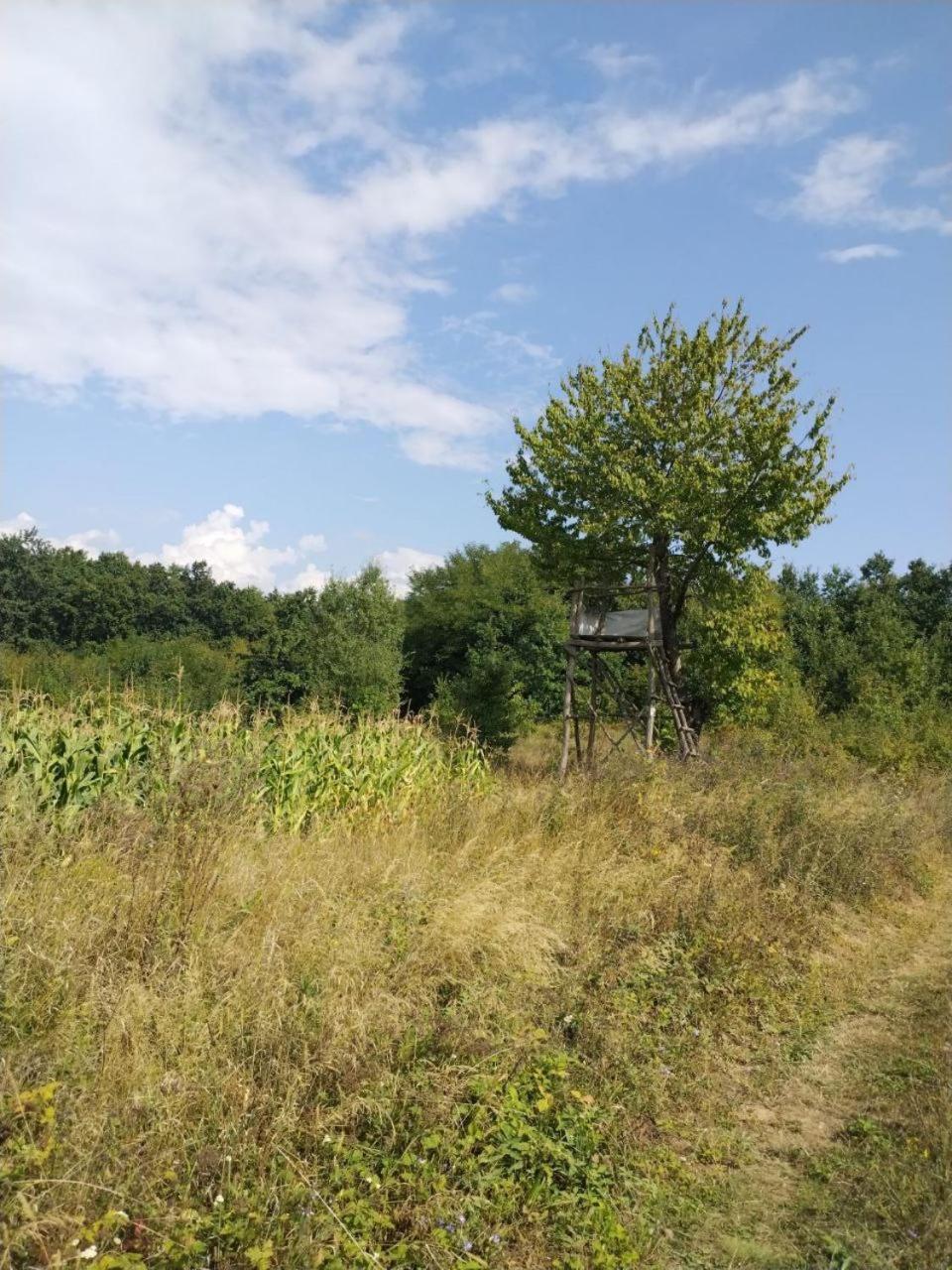 Vikendica Sibnica