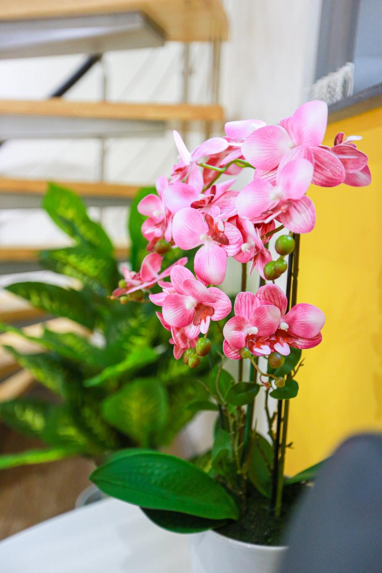 A102 Cheery Bright Loft view 5