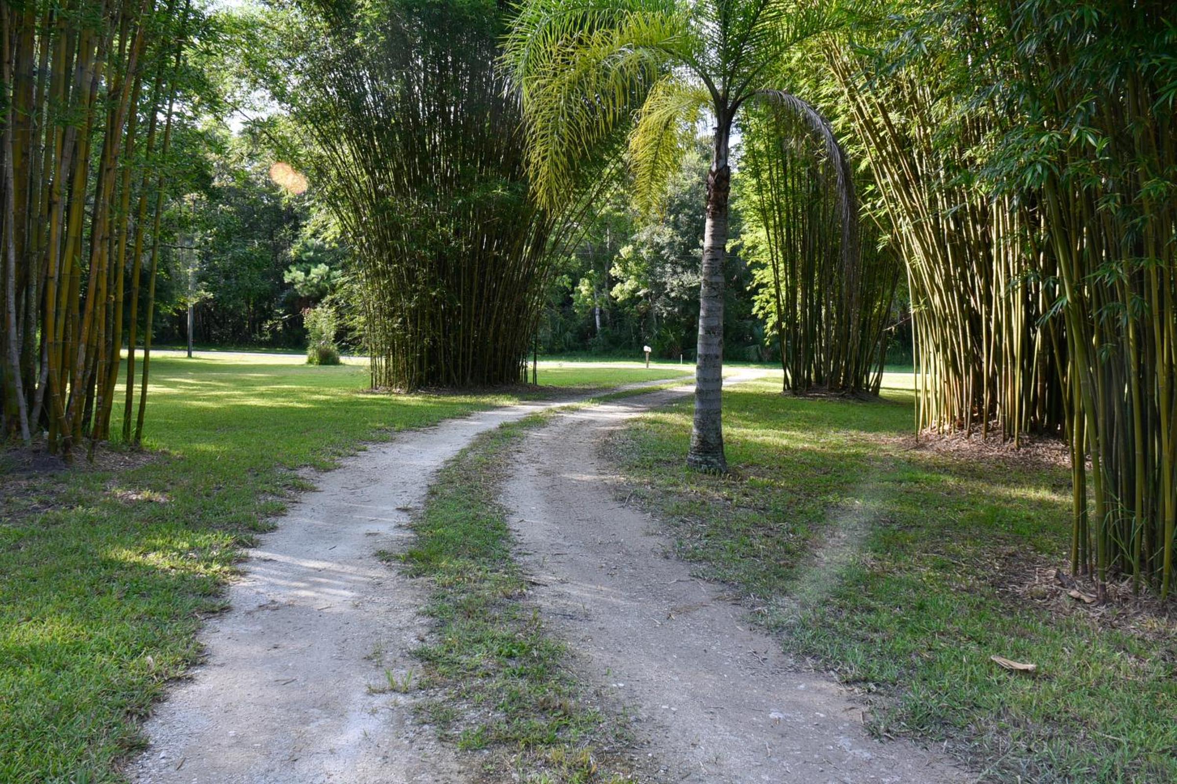 Luxurious Farm House 63 Acres view 3