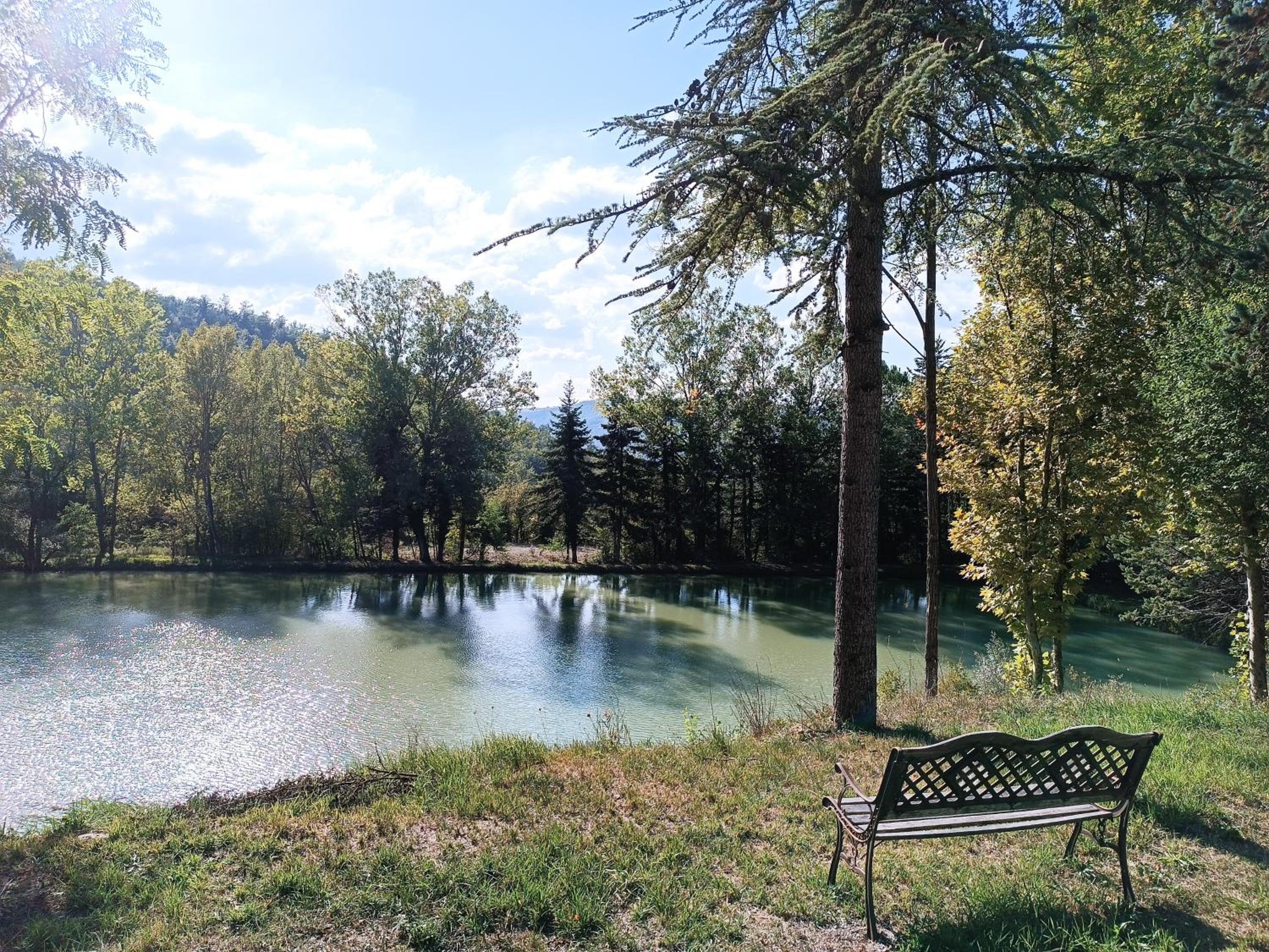 Sorgenti nel bosco Appartamento vista lago