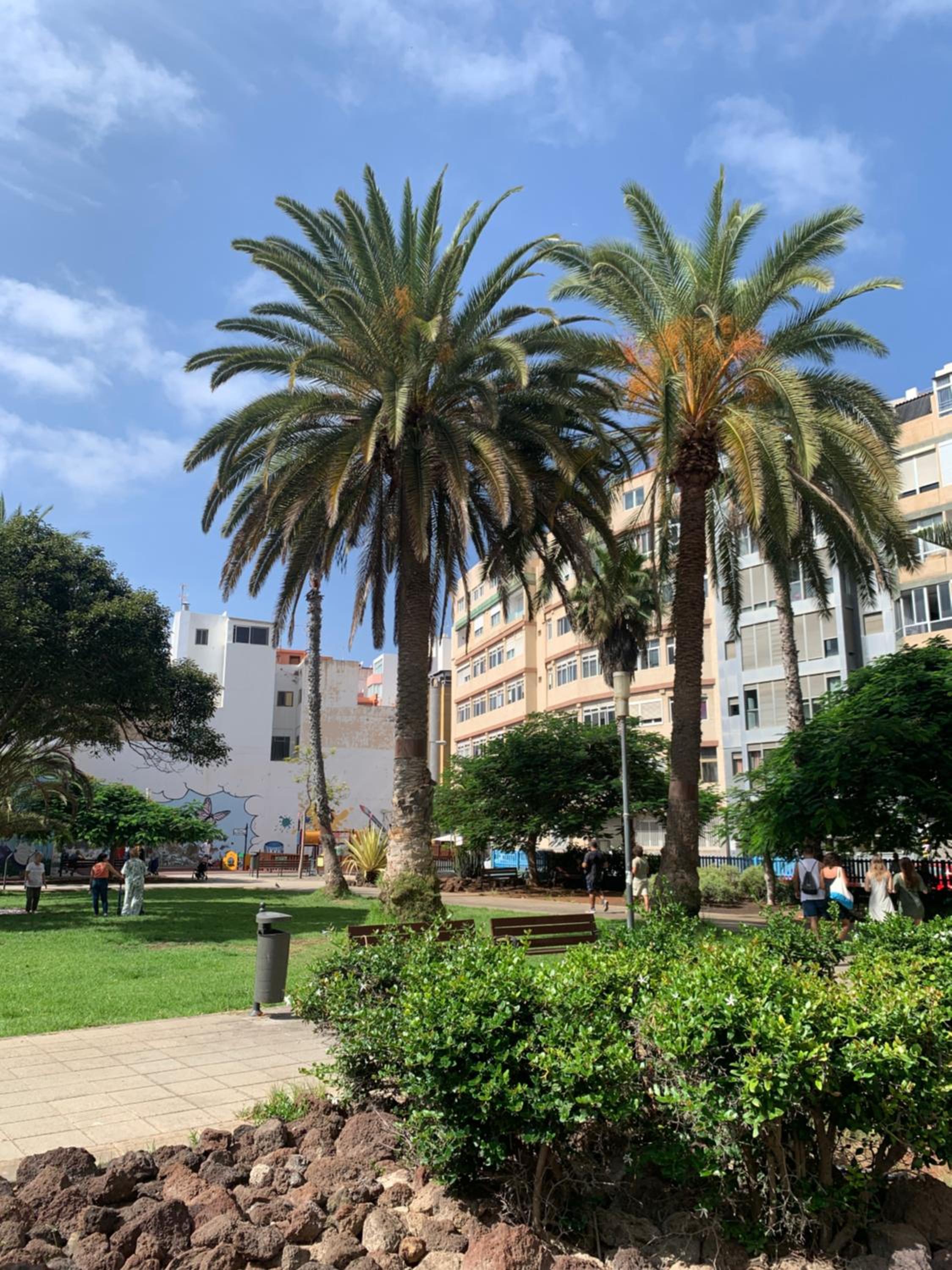 Green Beach Las Canteras