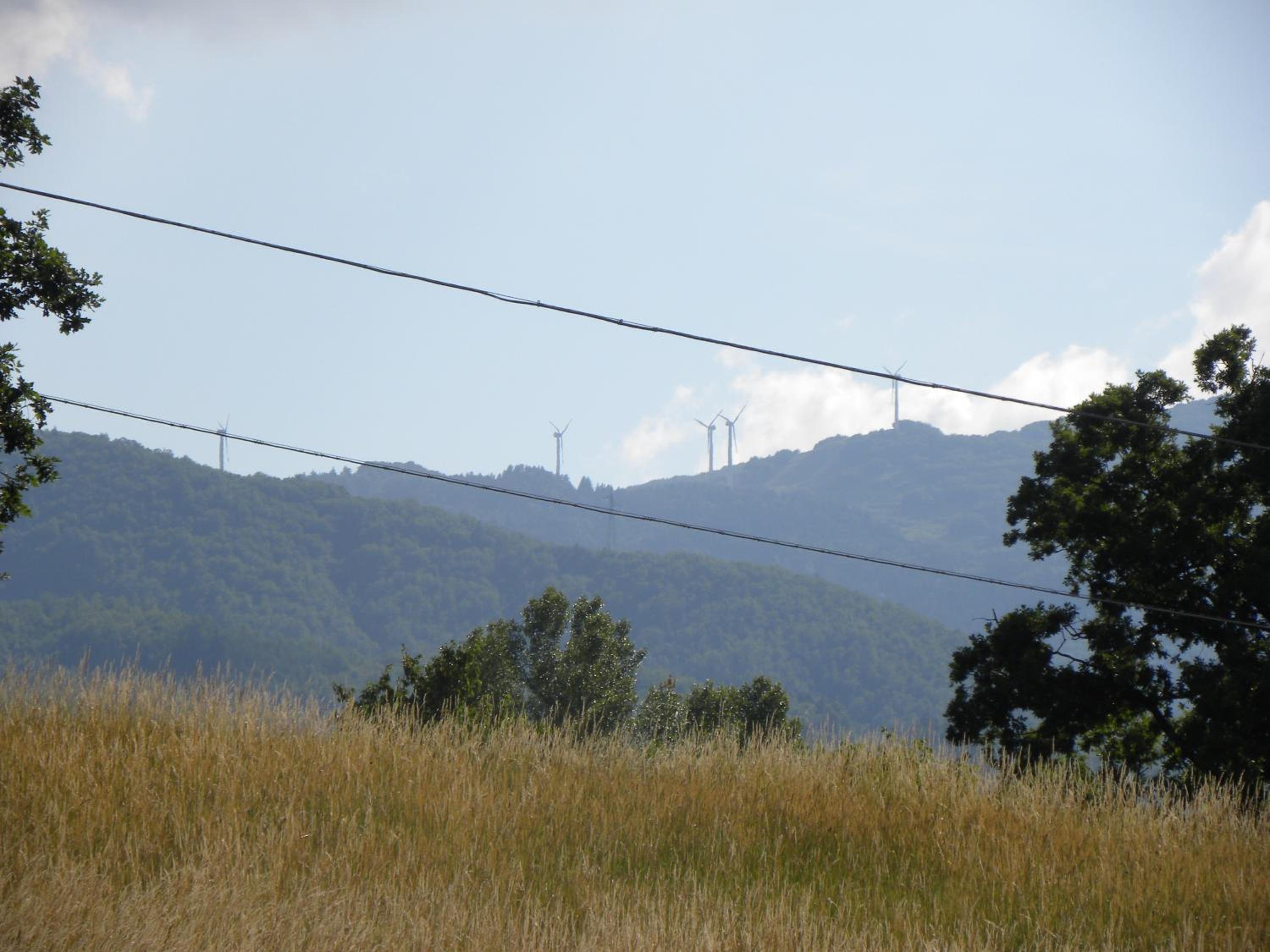 La Castagna Matta