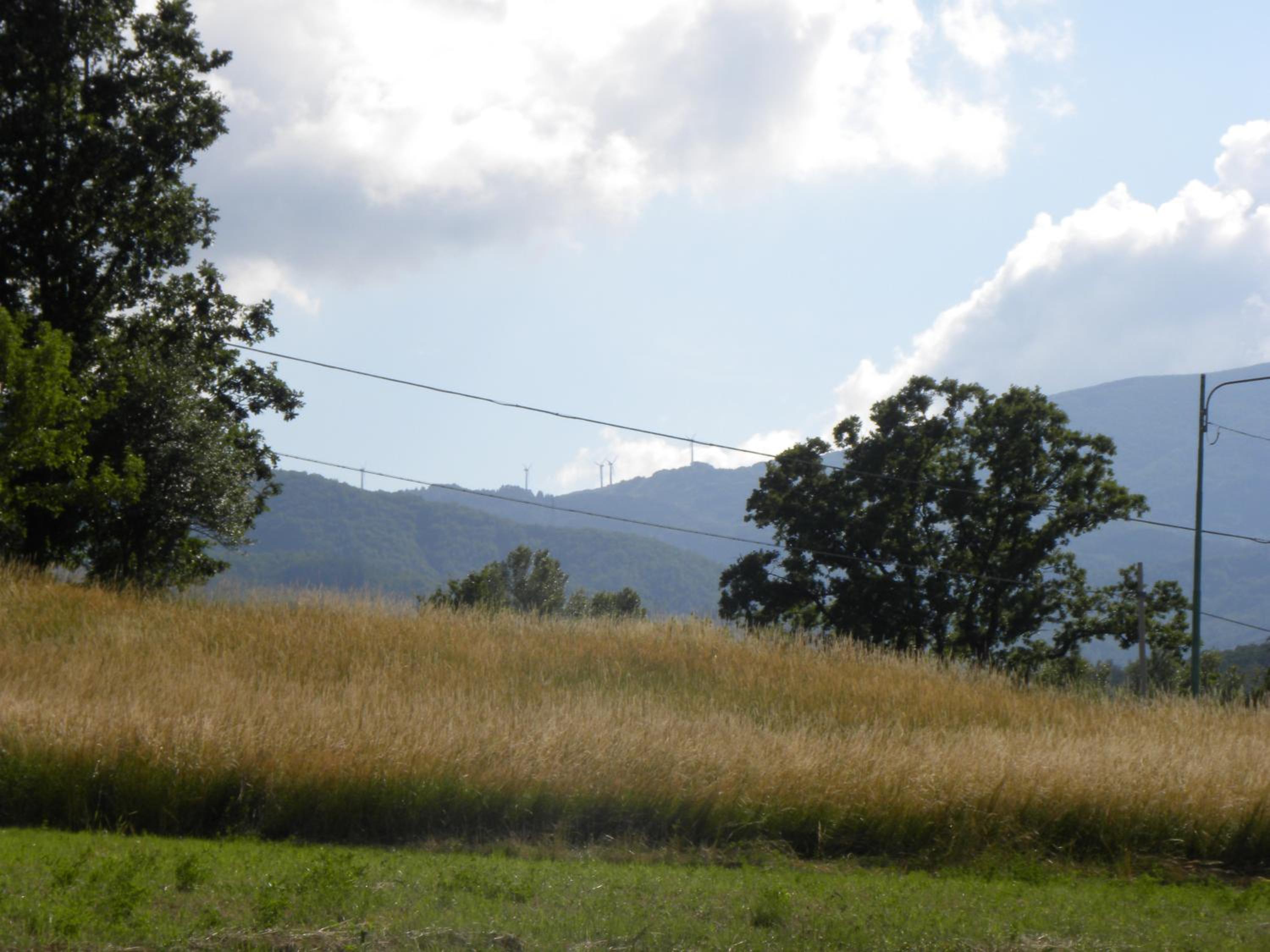 La Castagna Matta