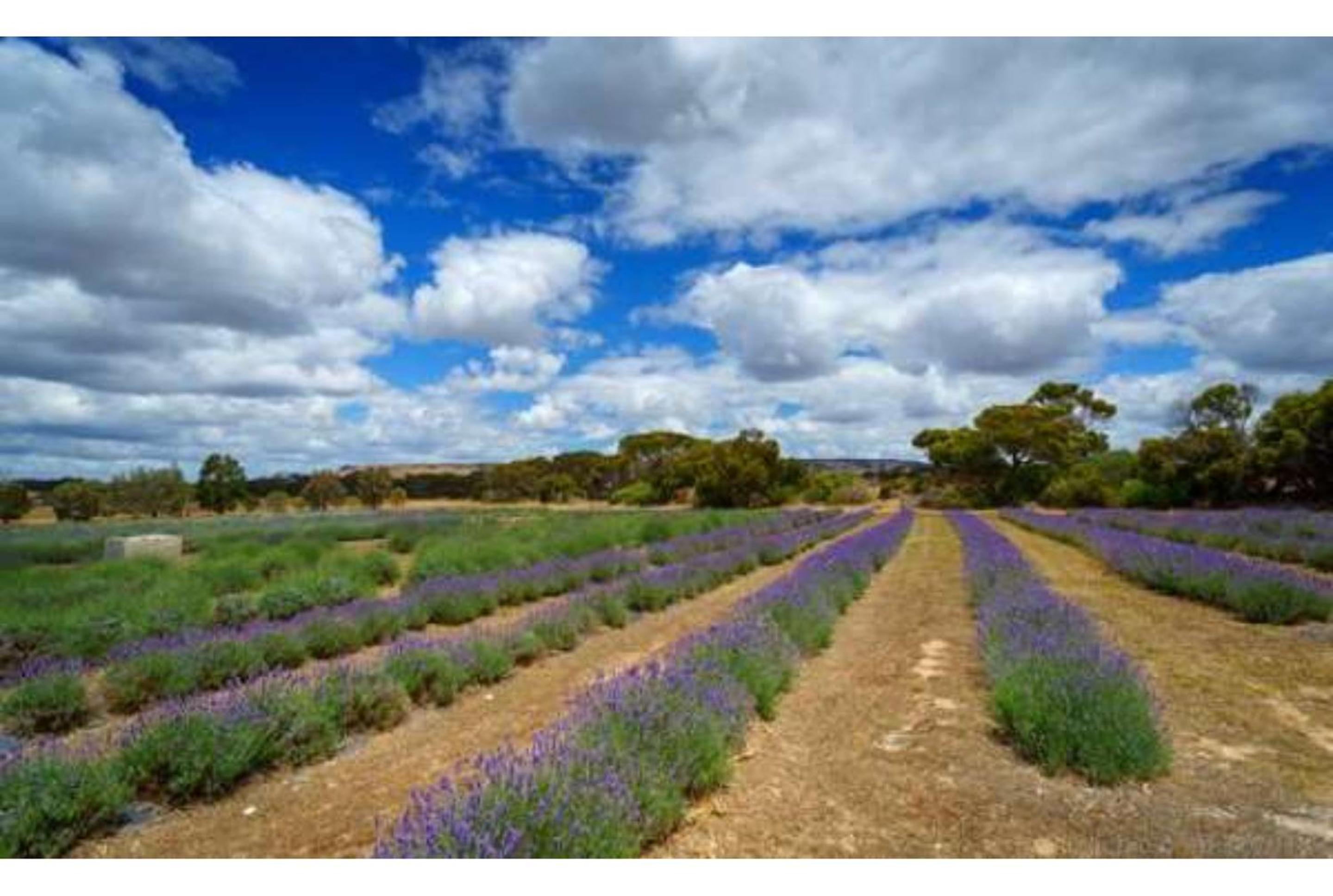 Discovery Parks - Kangaroo Island