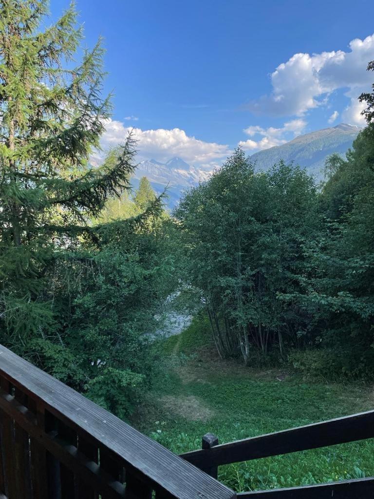 Chalet typique tout confort avec studio en dessous