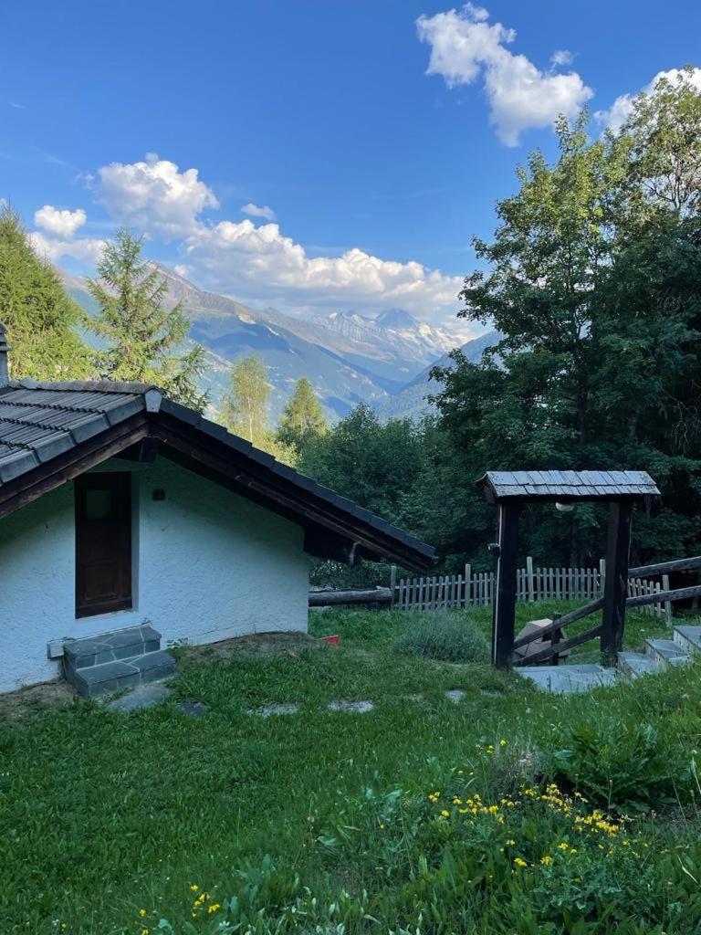 Chalet typique tout confort avec studio en dessous