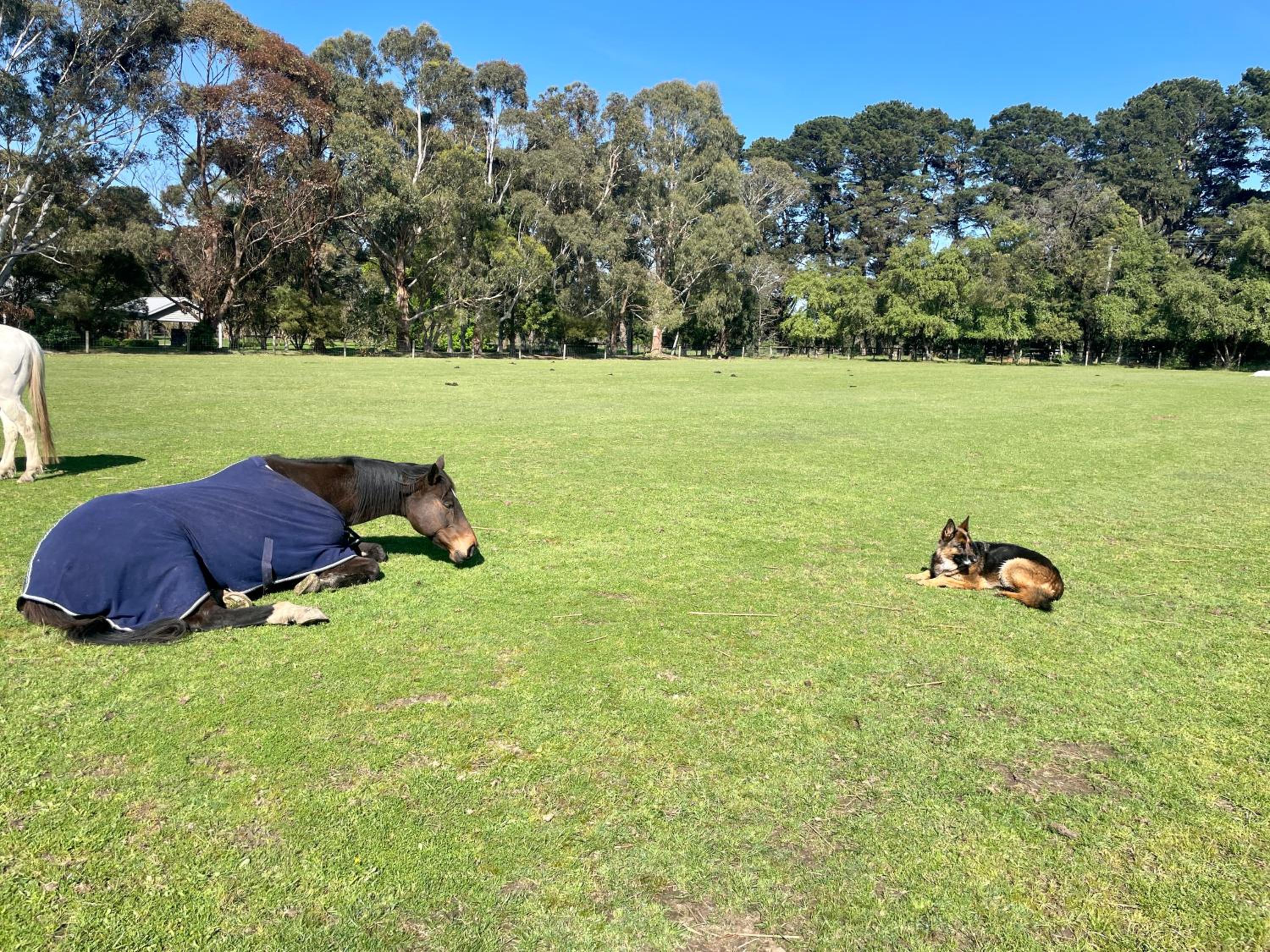 Farm Stay MAPLE Cottage at Wilindi Estate