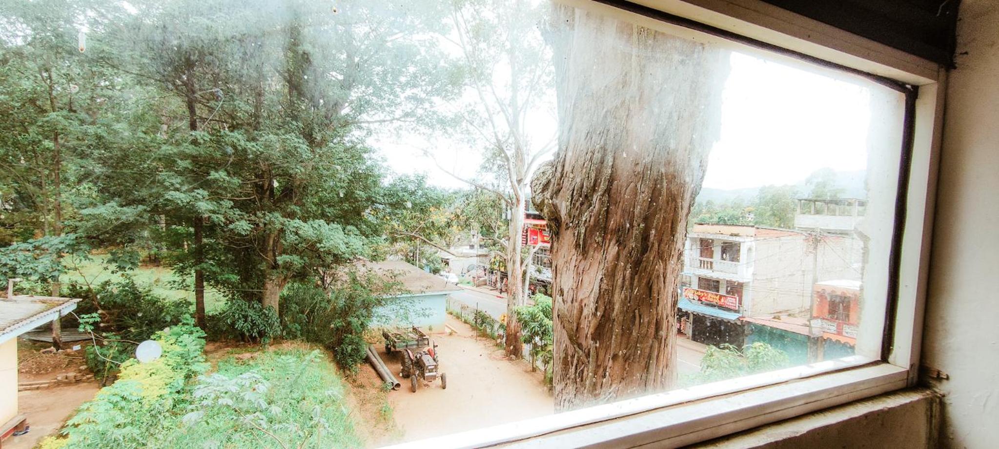 The Pearl Homestay view 2