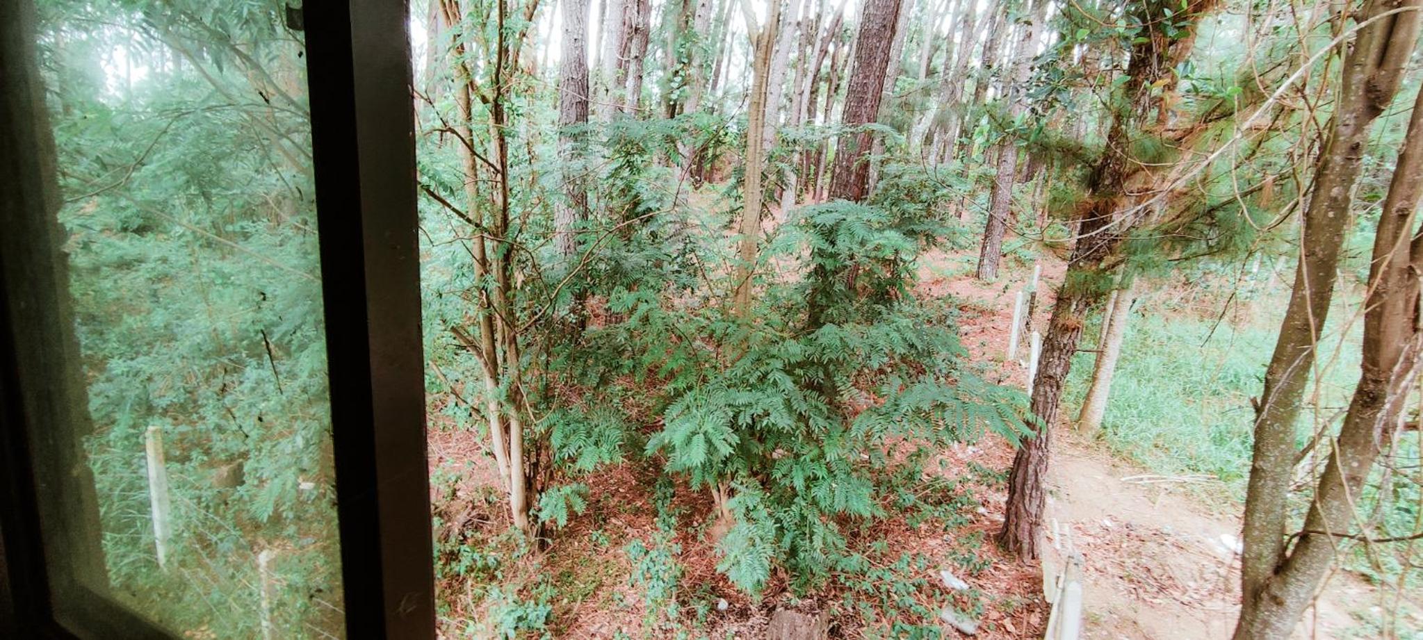 The Pearl Homestay view 3
