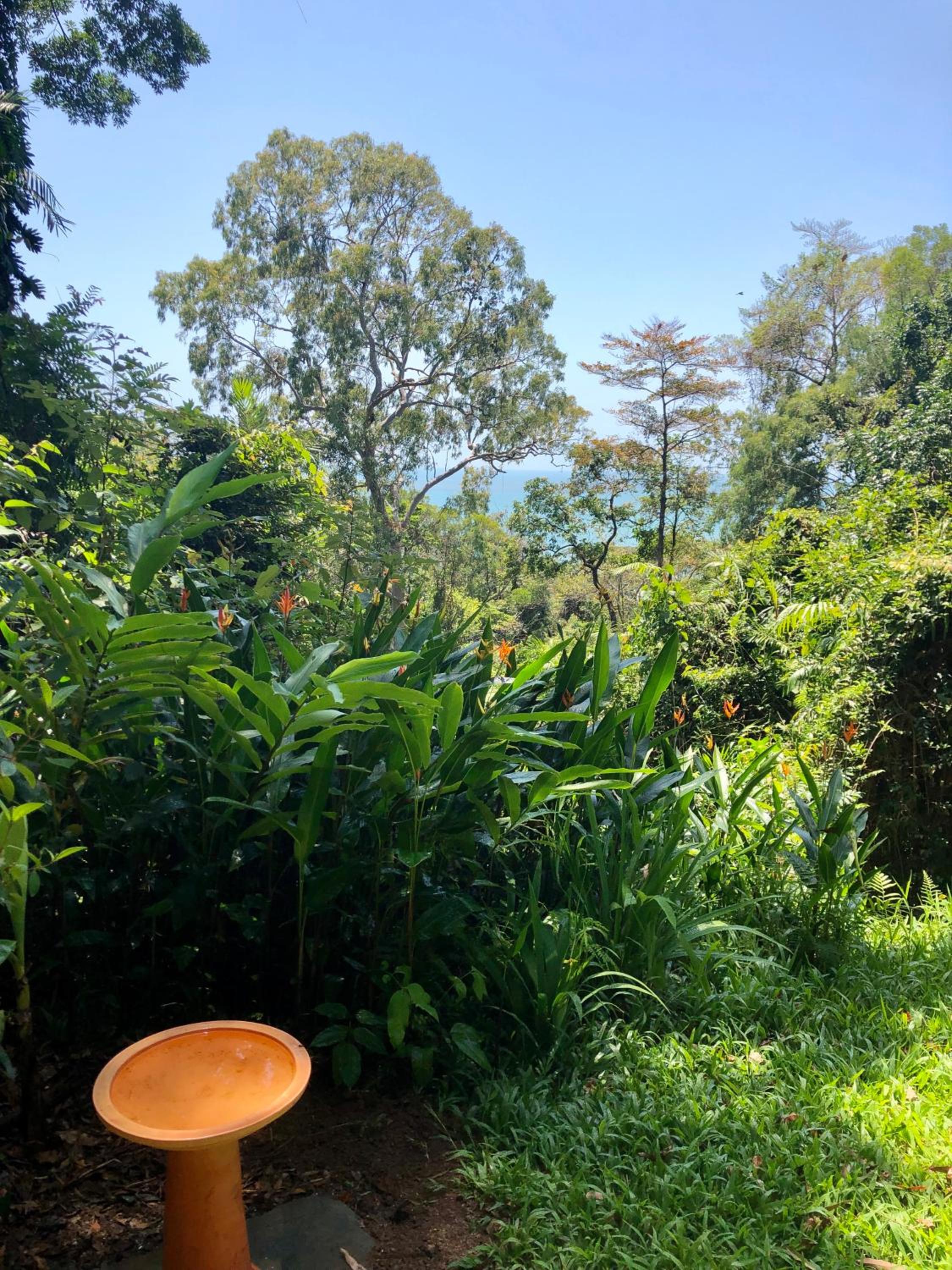 Sky: rainforest and ocean views with jacuzzi