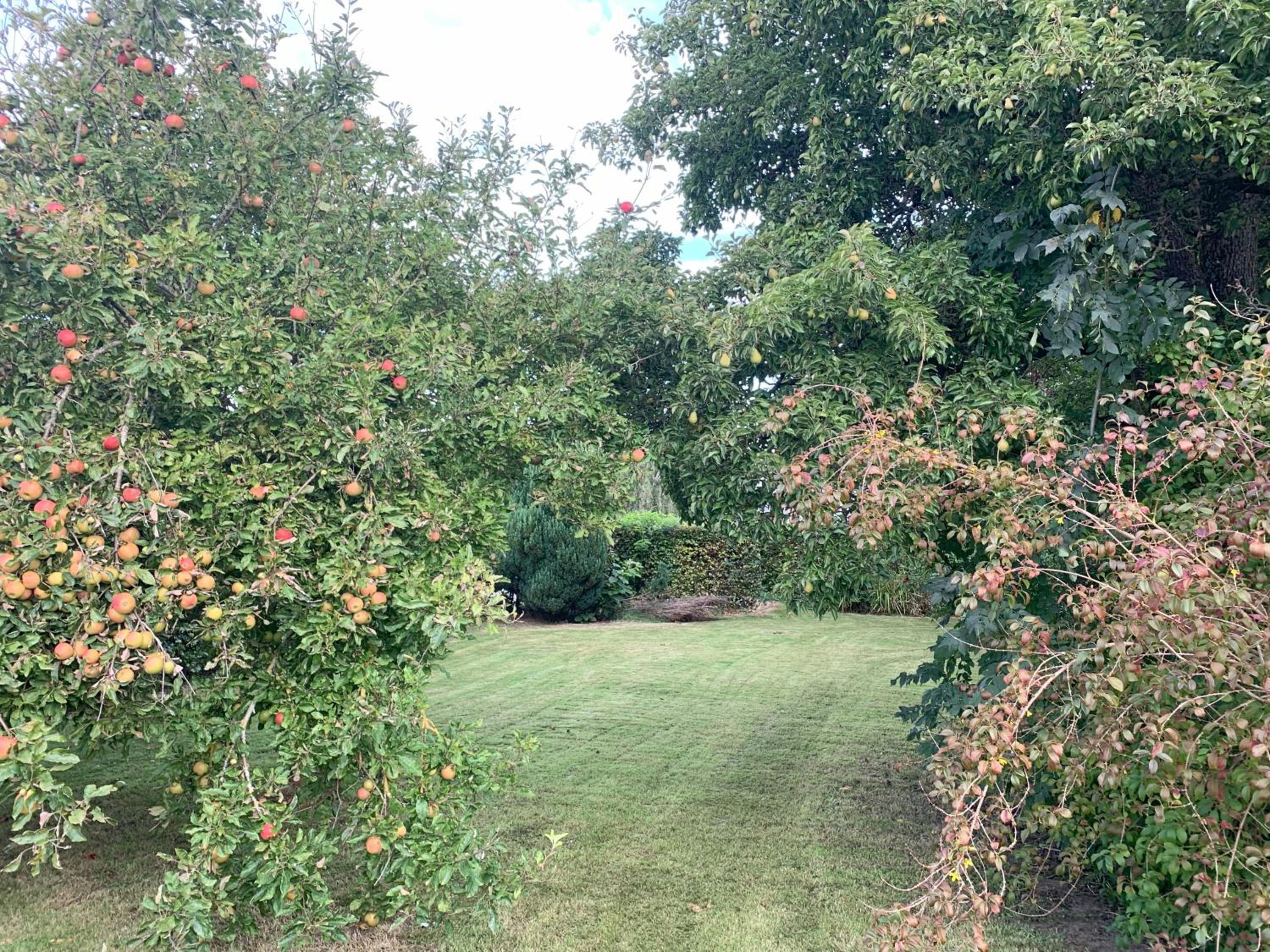 Photo 32
