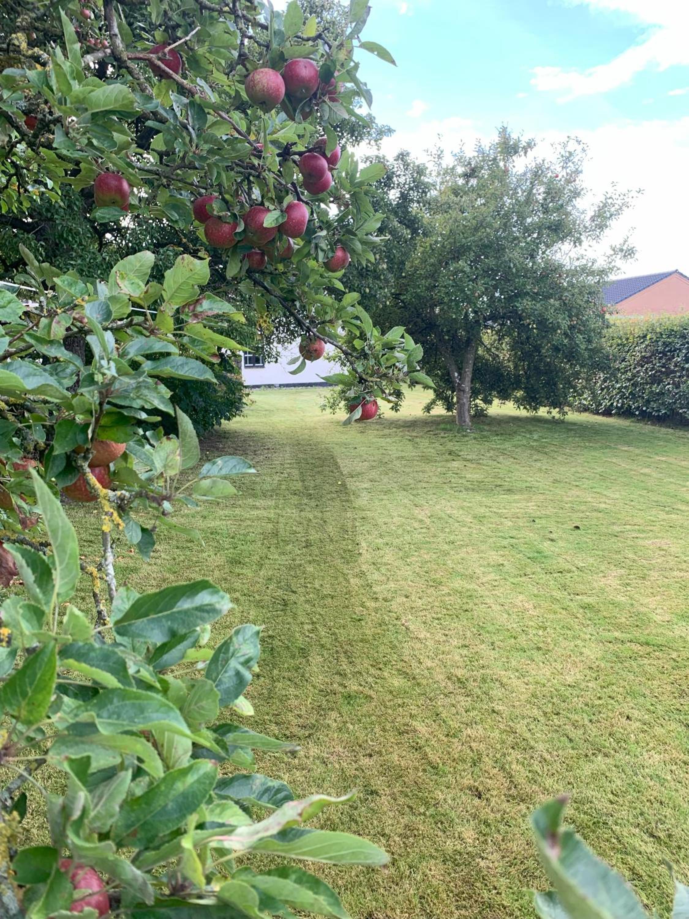 Photo 45