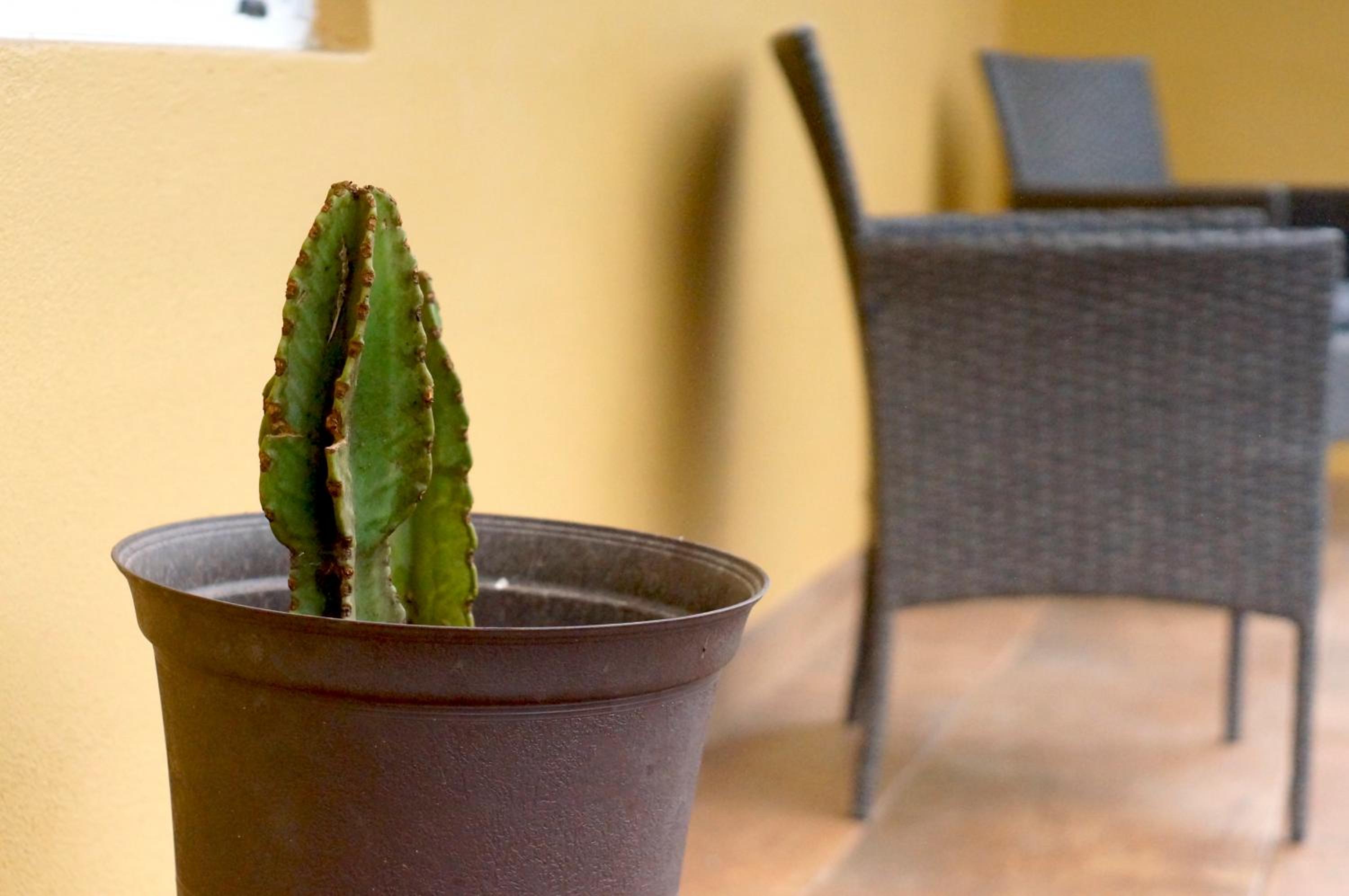 Ensenada Vacations - Cozy Quiet Pet friendly Studio - Property Image 15