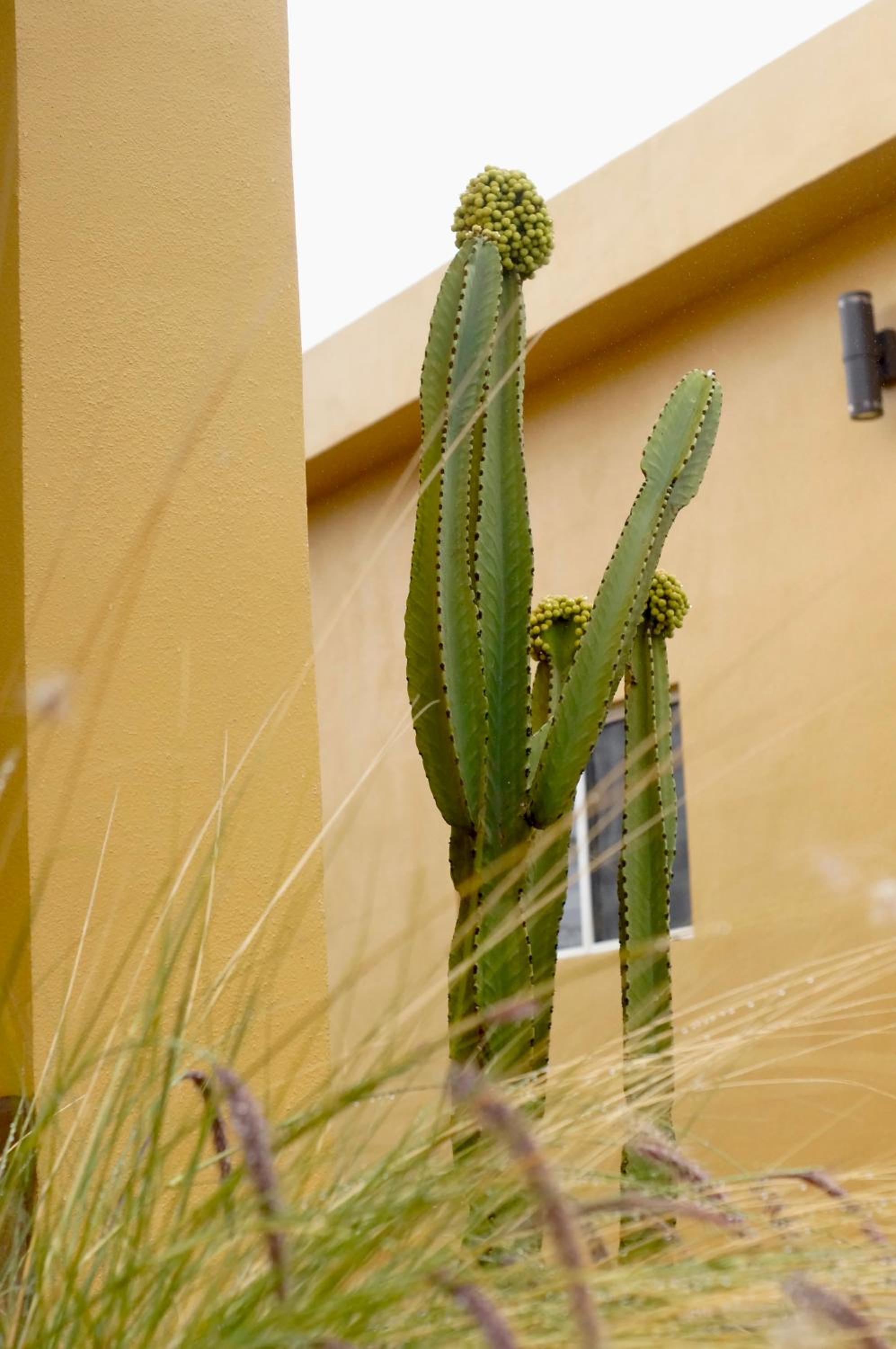 Ensenada Vacations - Cozy Quiet Pet friendly Studio - Property Image 13