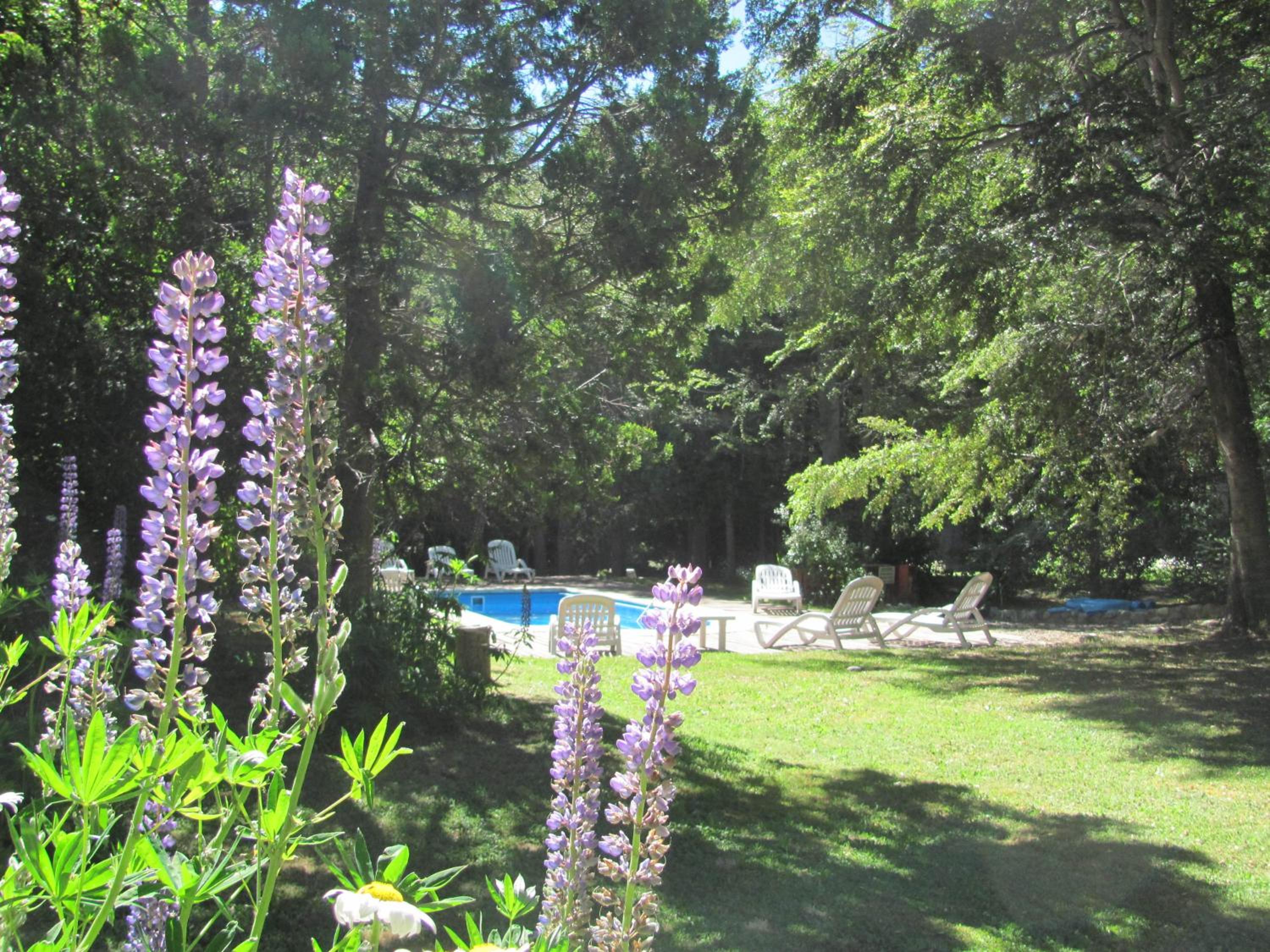 Hosteria Pichi Rincon