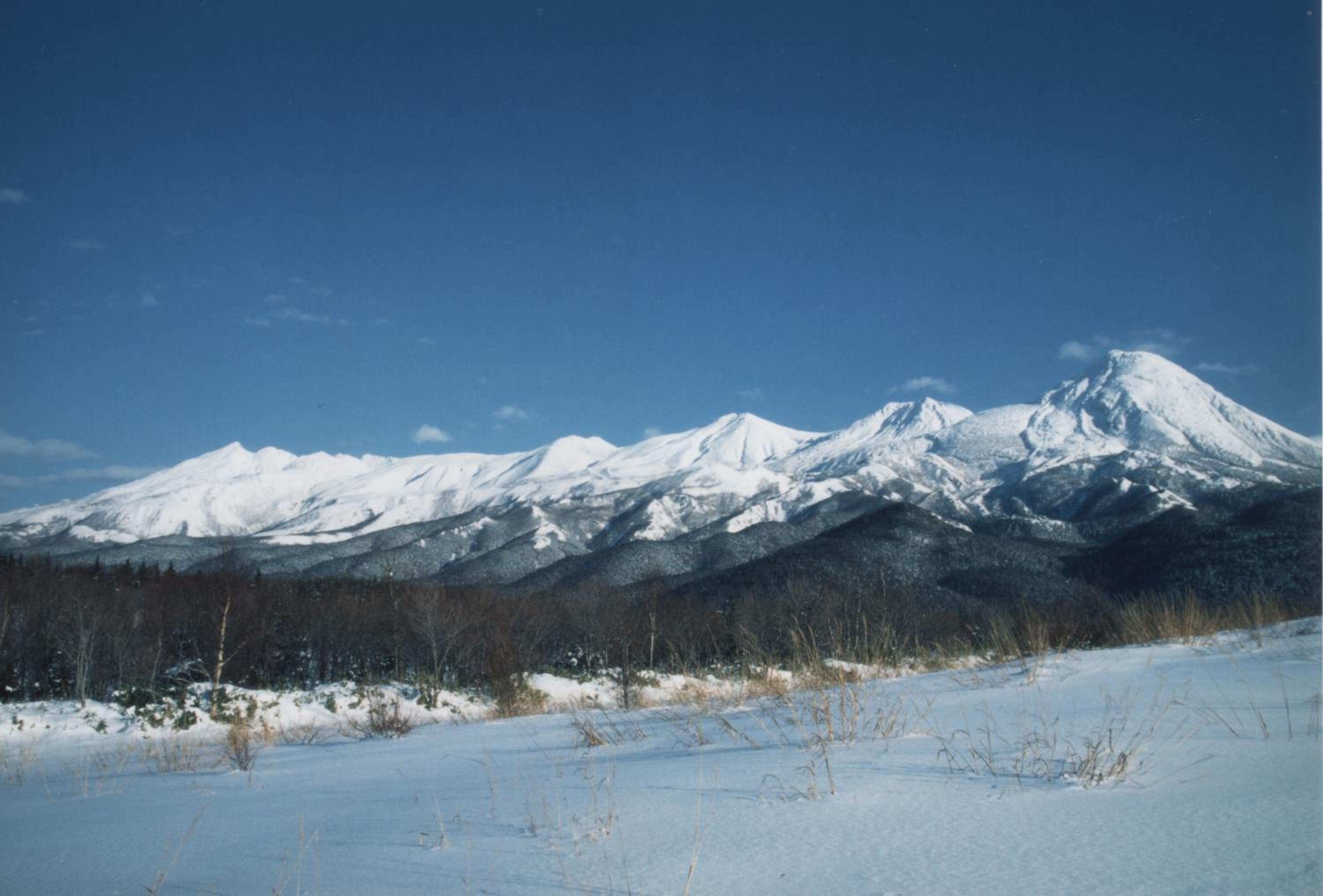 Photo 43