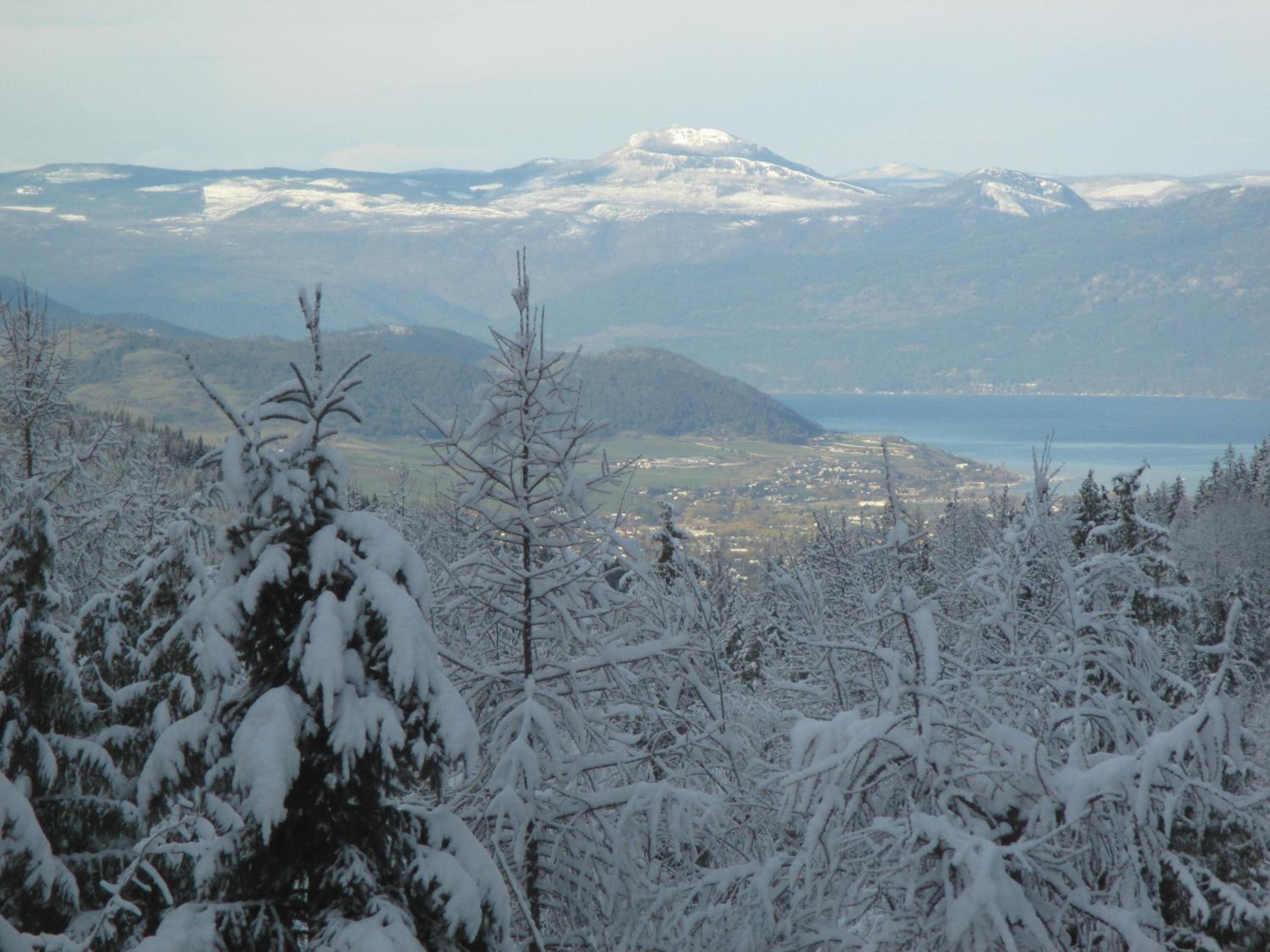 Vernon Vacations - Silver Star Bed and Breakfast - Property Image 22