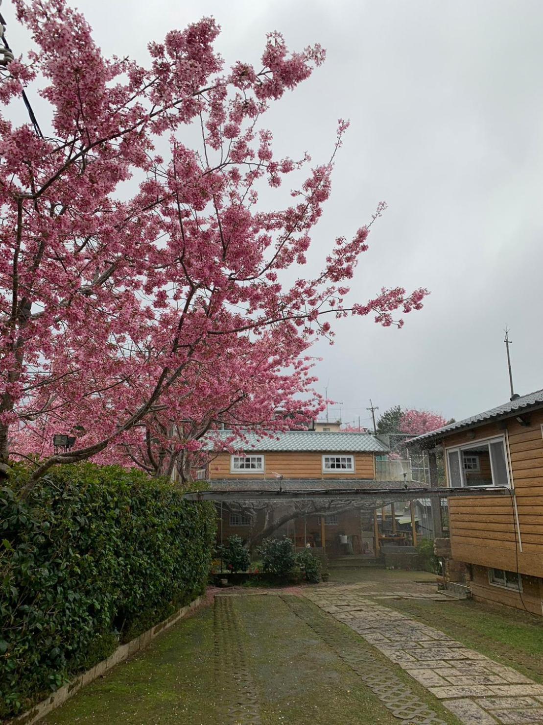 Photo 38