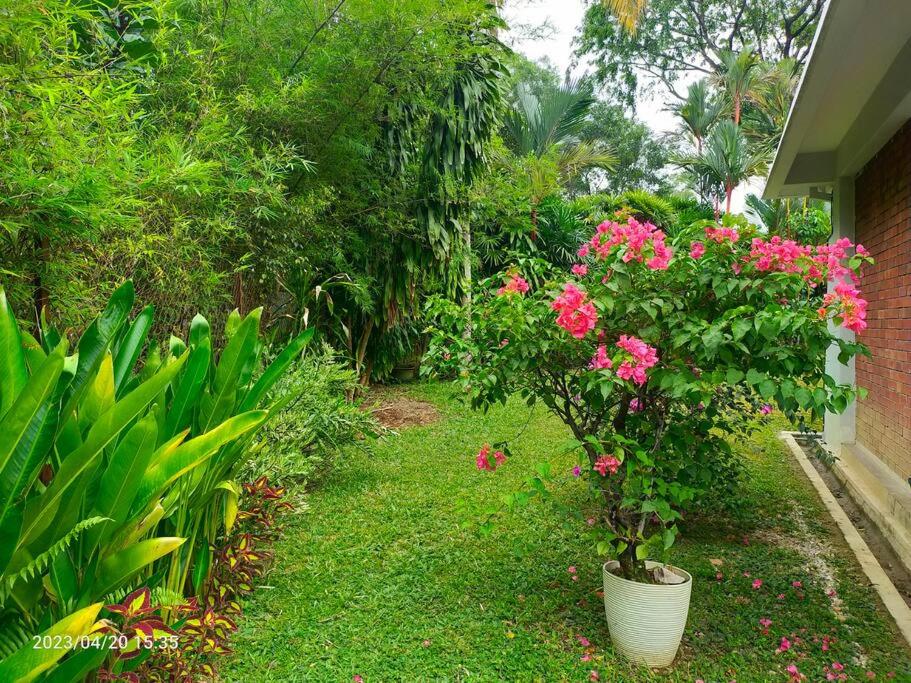 Villa w Pool Damansara Height KL