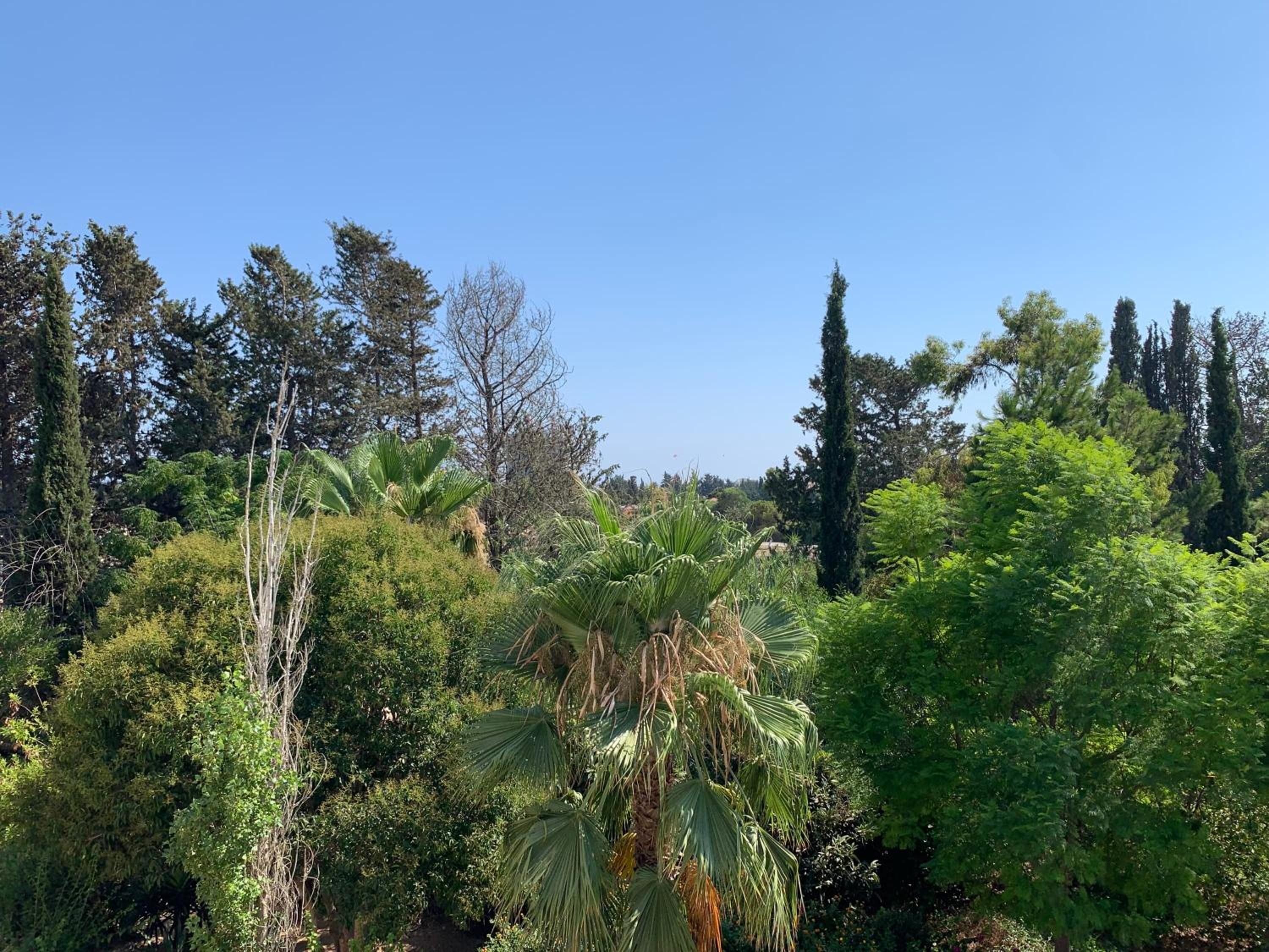 Paradise Gardens 3 - superb 1 bed apartment
