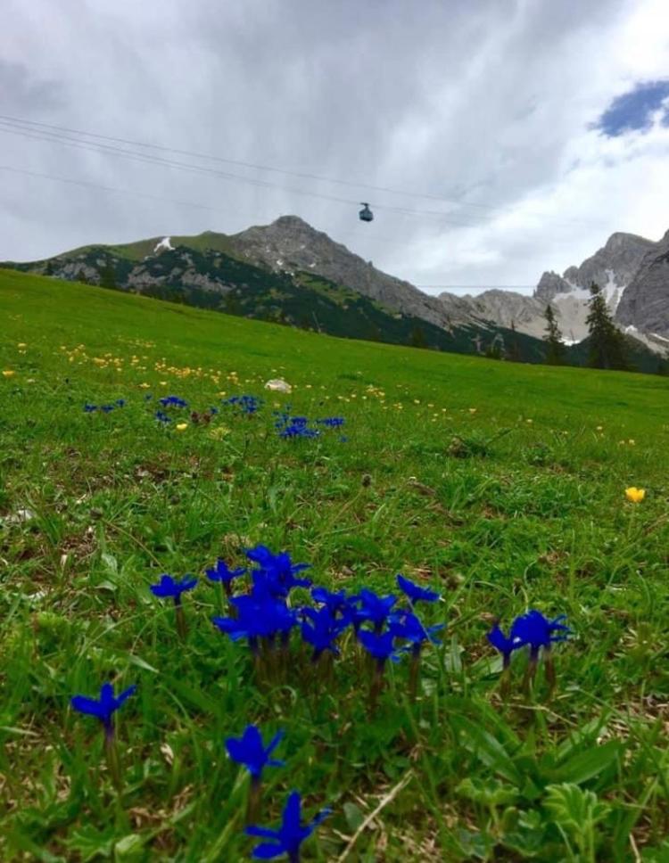 RELAX Seefeld Apartman