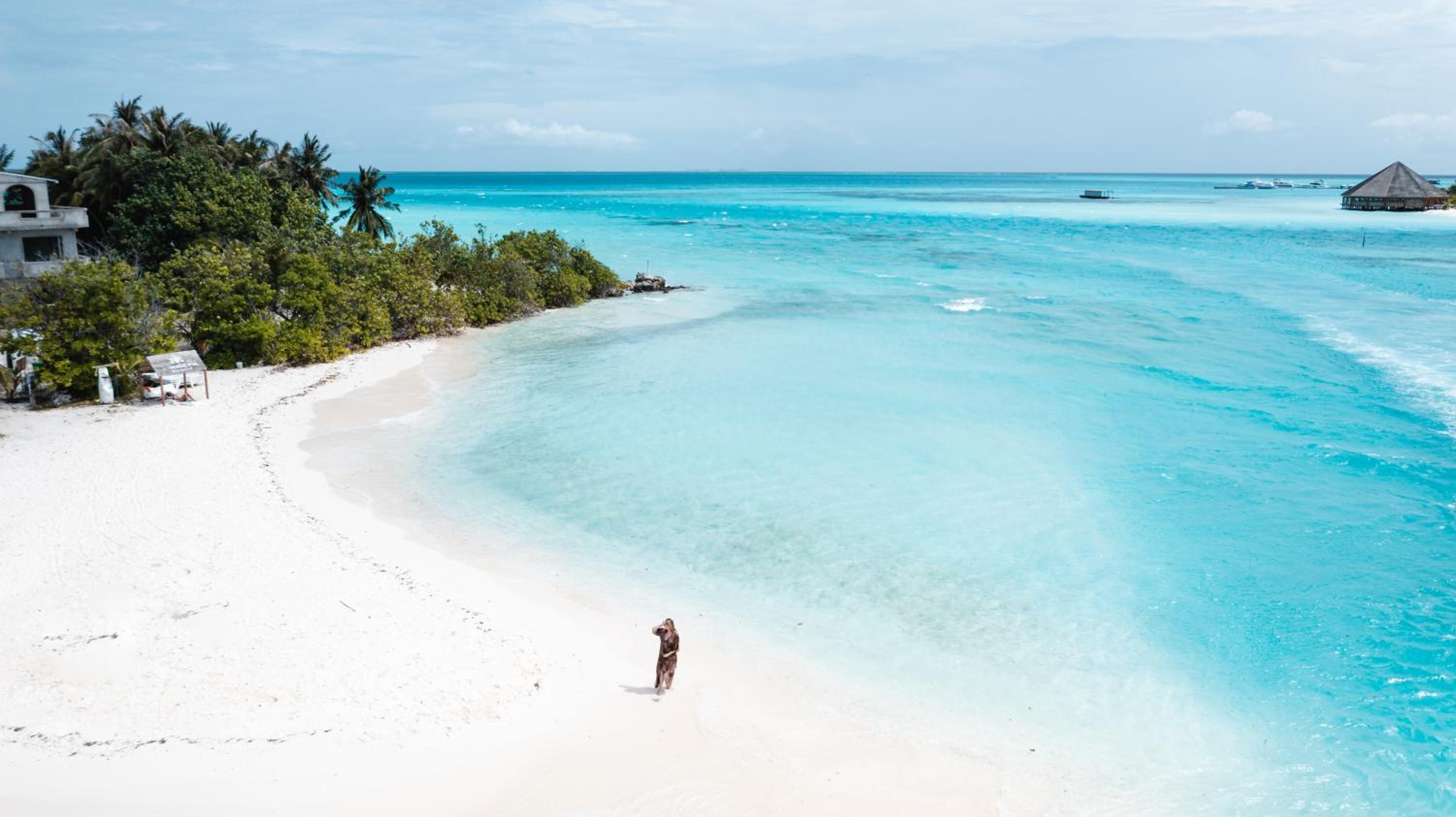 Rashu Hiyaa